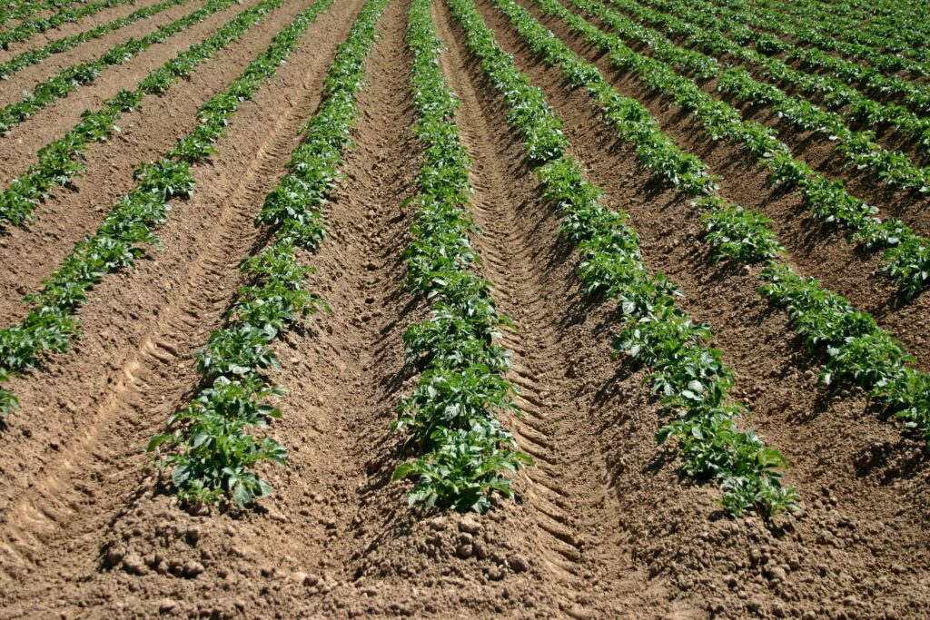 Préserver le potentiel agricole insoupçonné de la Rive-Sud