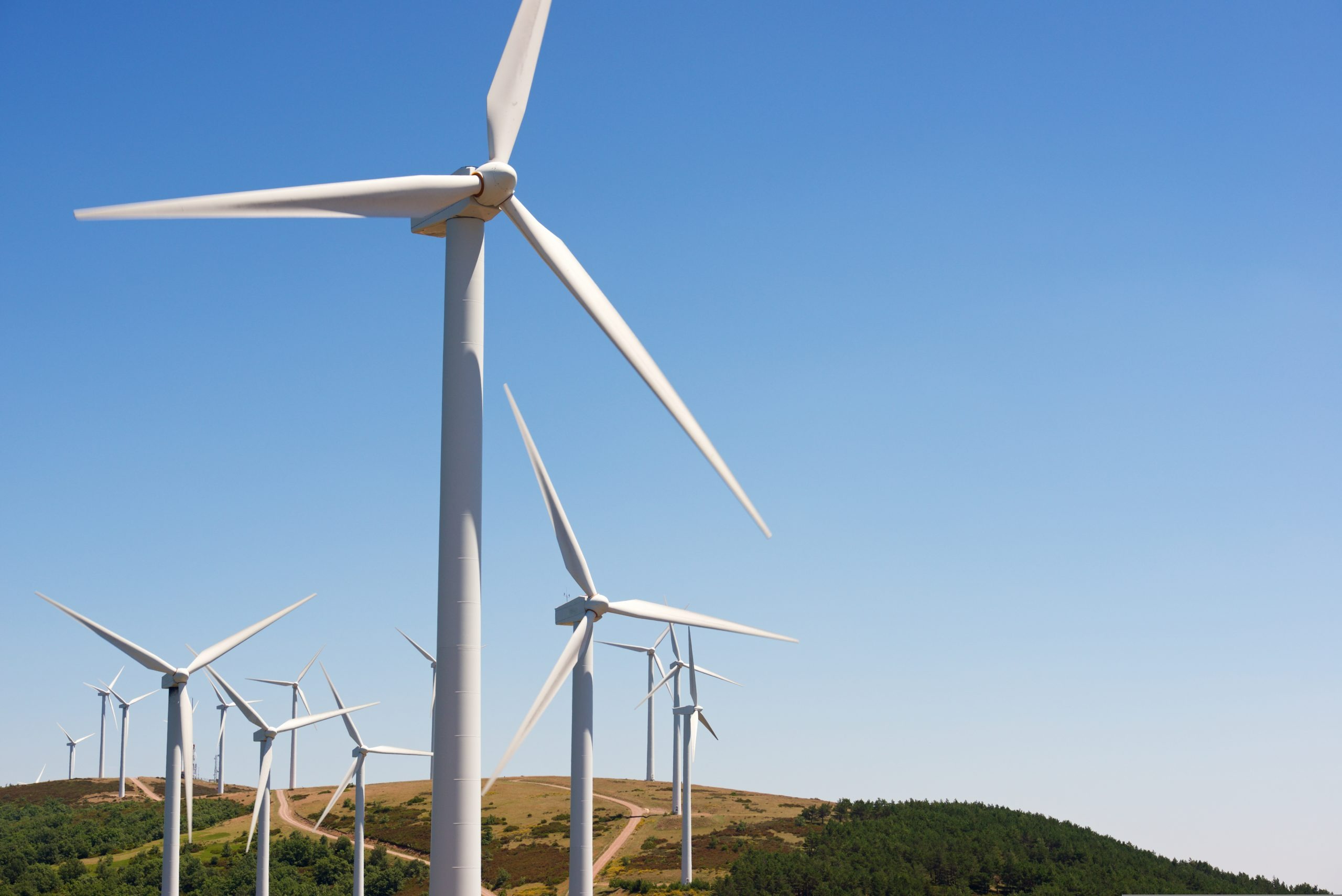 Coalition pour contrer l’éolien antidémocratique