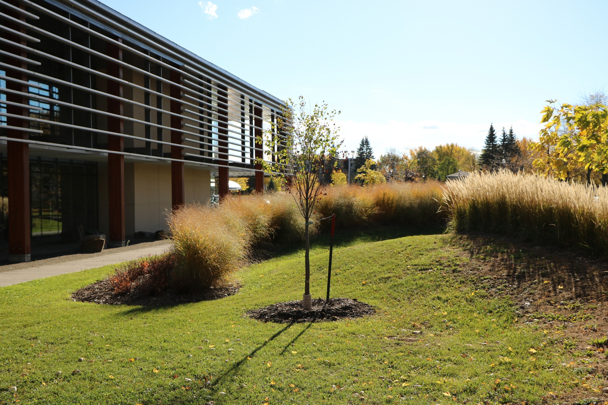 Réduction des GES de 37,5 % d’ici 2030: Candiac légifère pour y arriver