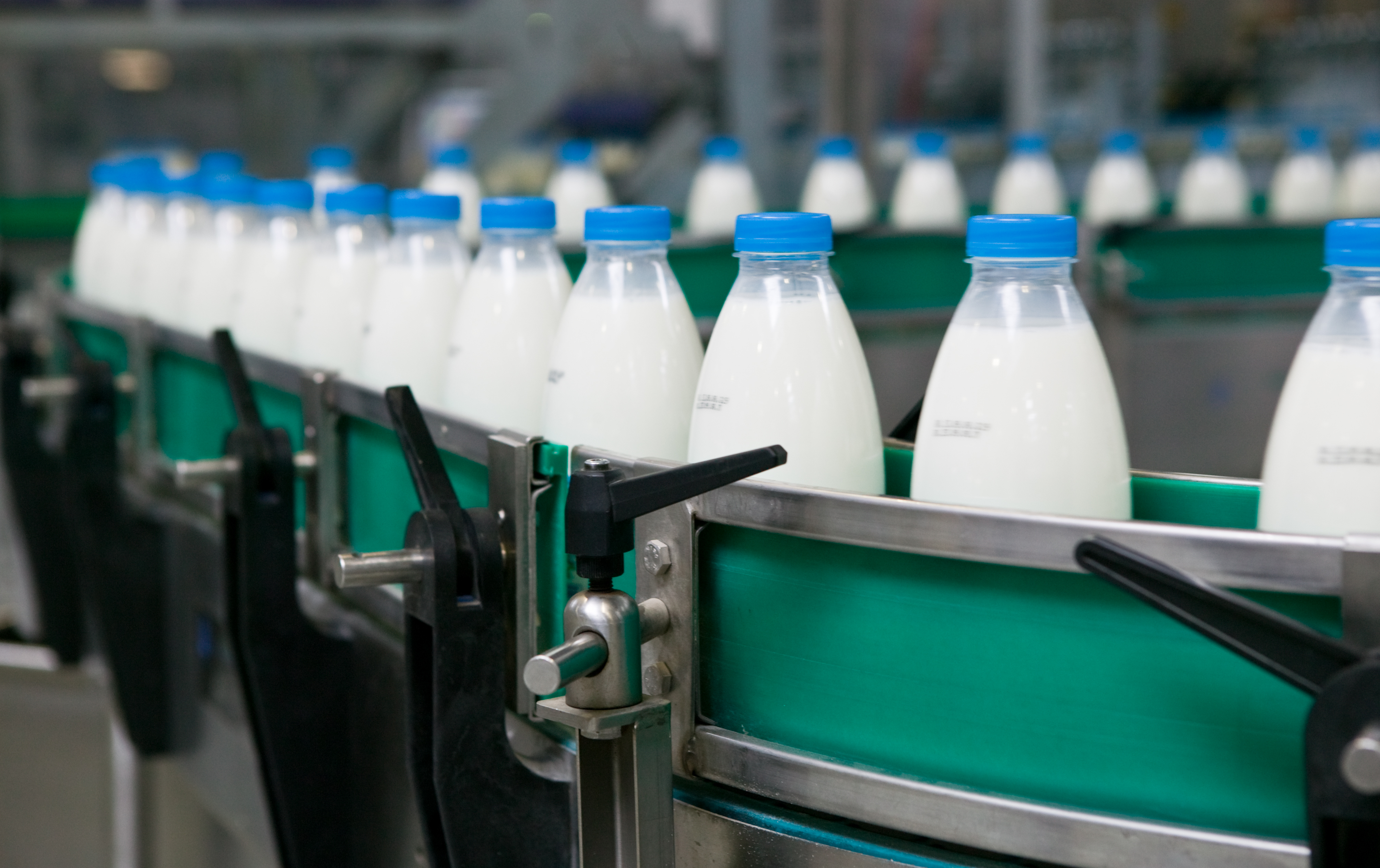Image illustrant l'article: La production laitière caprine est sauvée