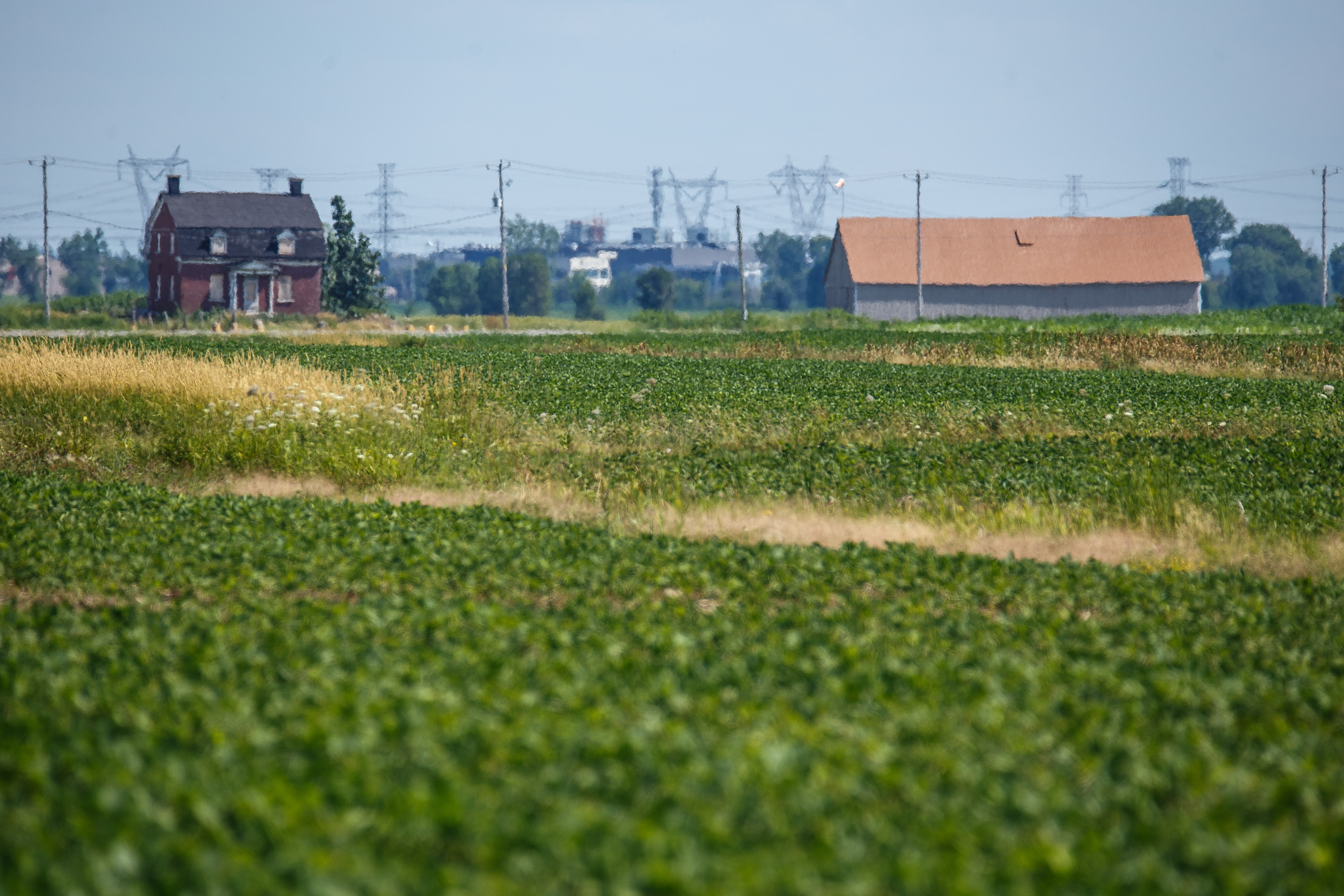Image illustrant l'article: Taxes foncières: pas de taux agricole distinct obligatoire dans le nouveau programme