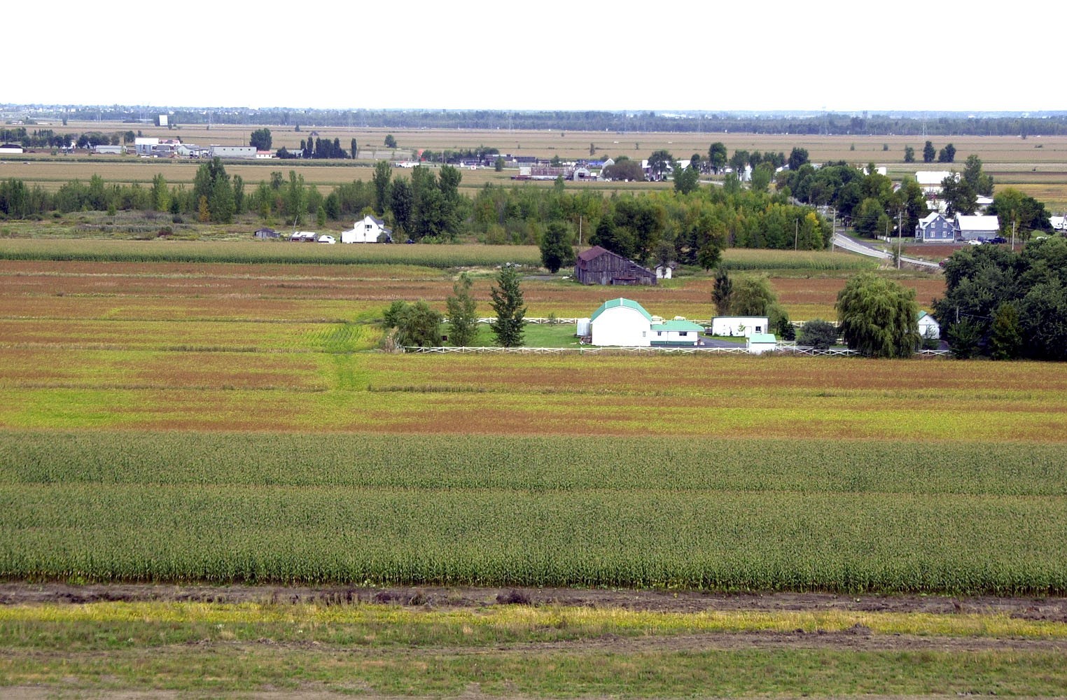 Image illustrant l'article: Le Plan de financement 2020-2024 de l’UPA rejeté en Montérégie