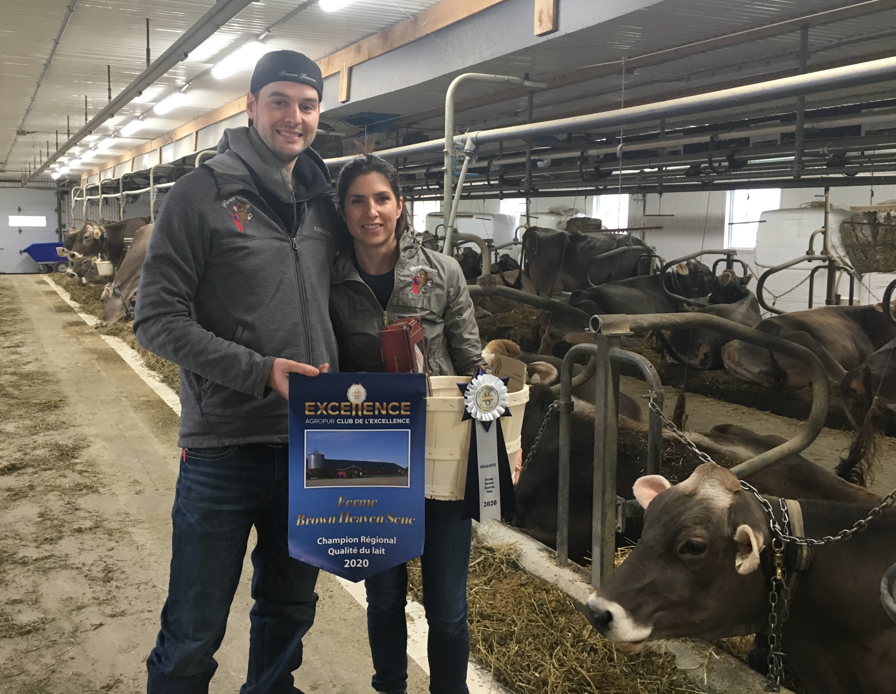 Club de l&rsquo;Excellence d&rsquo;Agropur : la Ferme Brown Heaven s&rsquo;illustre pour la qualité de son lait