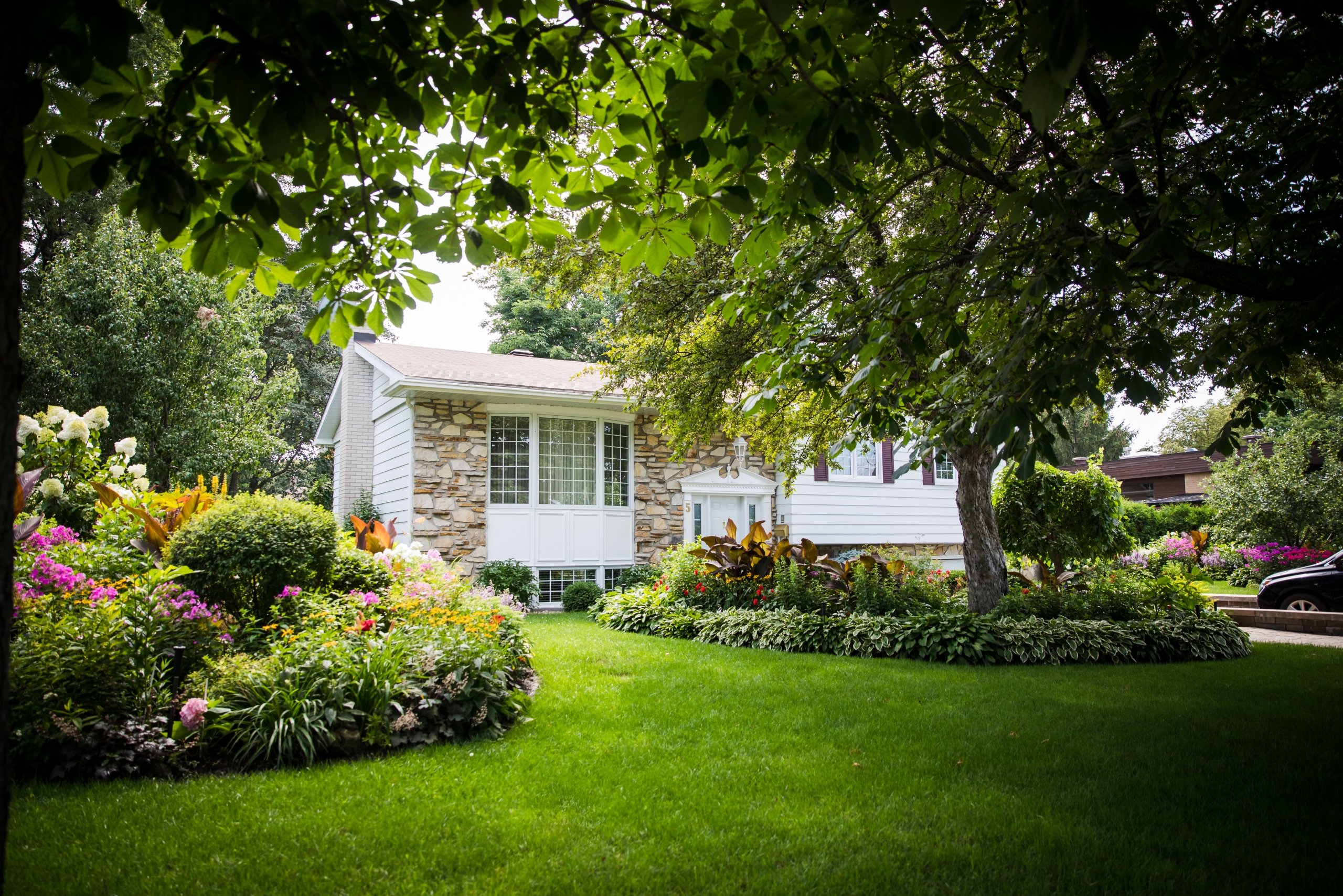 Image illustrant l'article