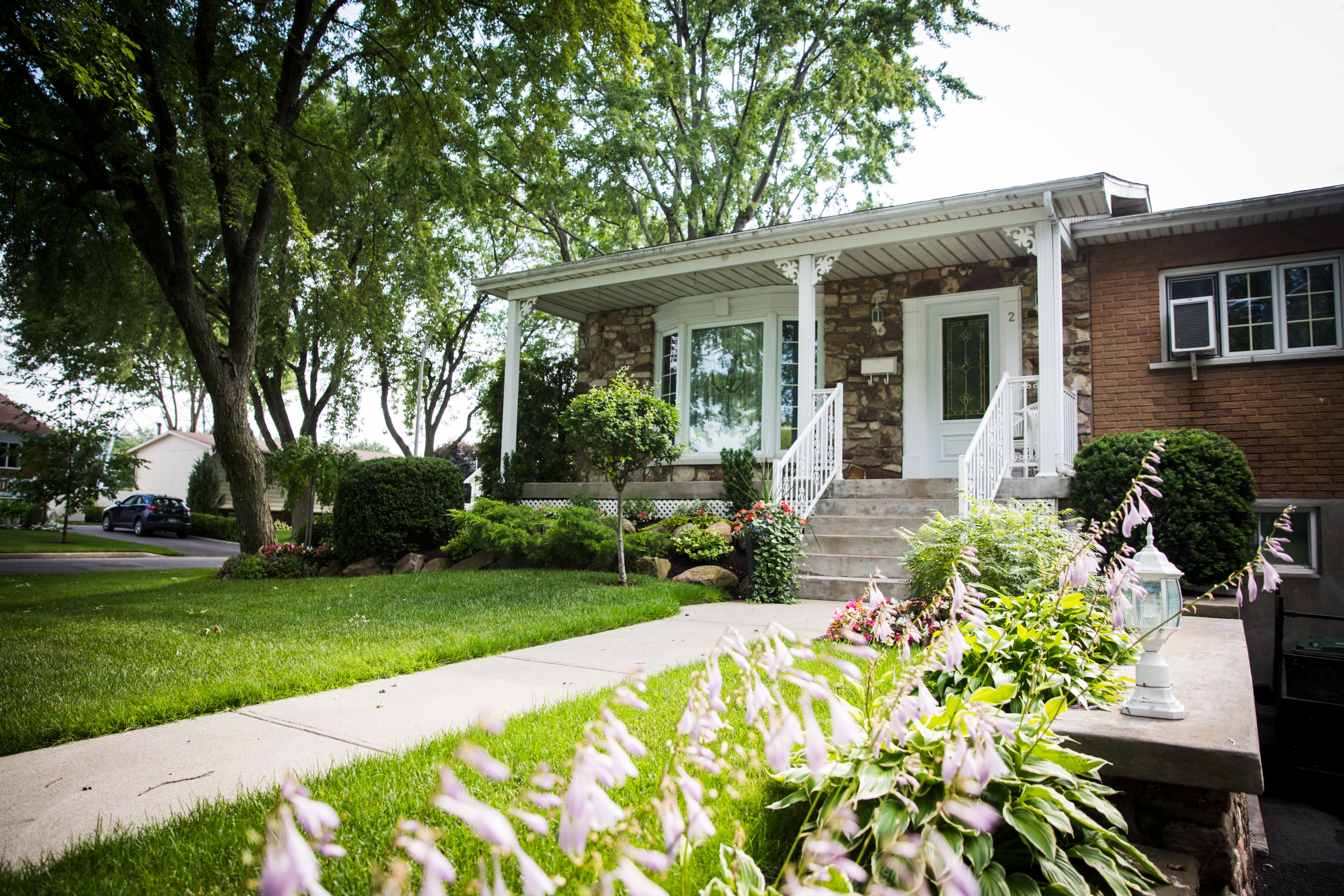 Un talent musical insoupçonné