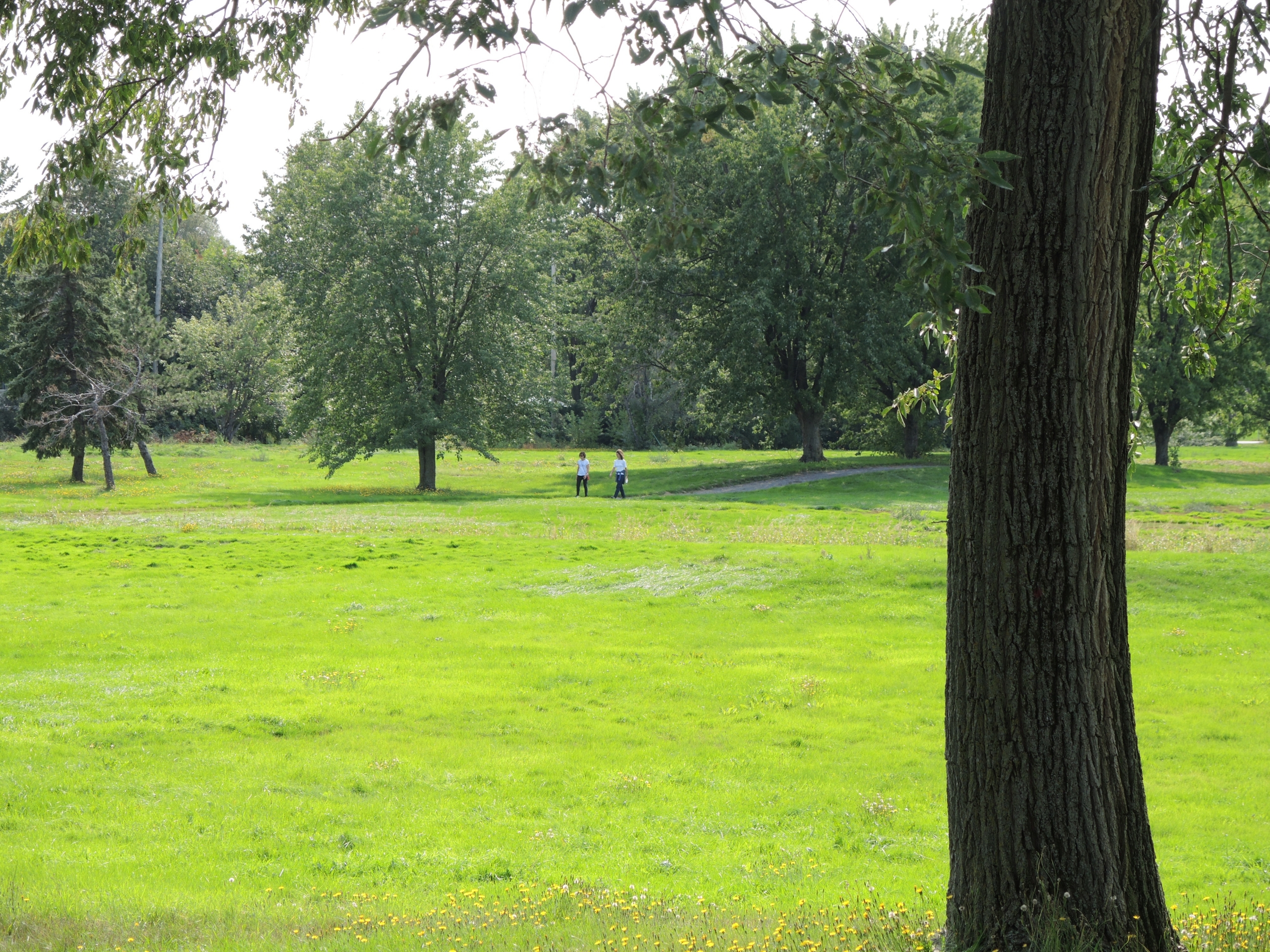 Protégez-vous de la fraude et du vol d&rsquo;identité avec ma conférence en ligne gratuite