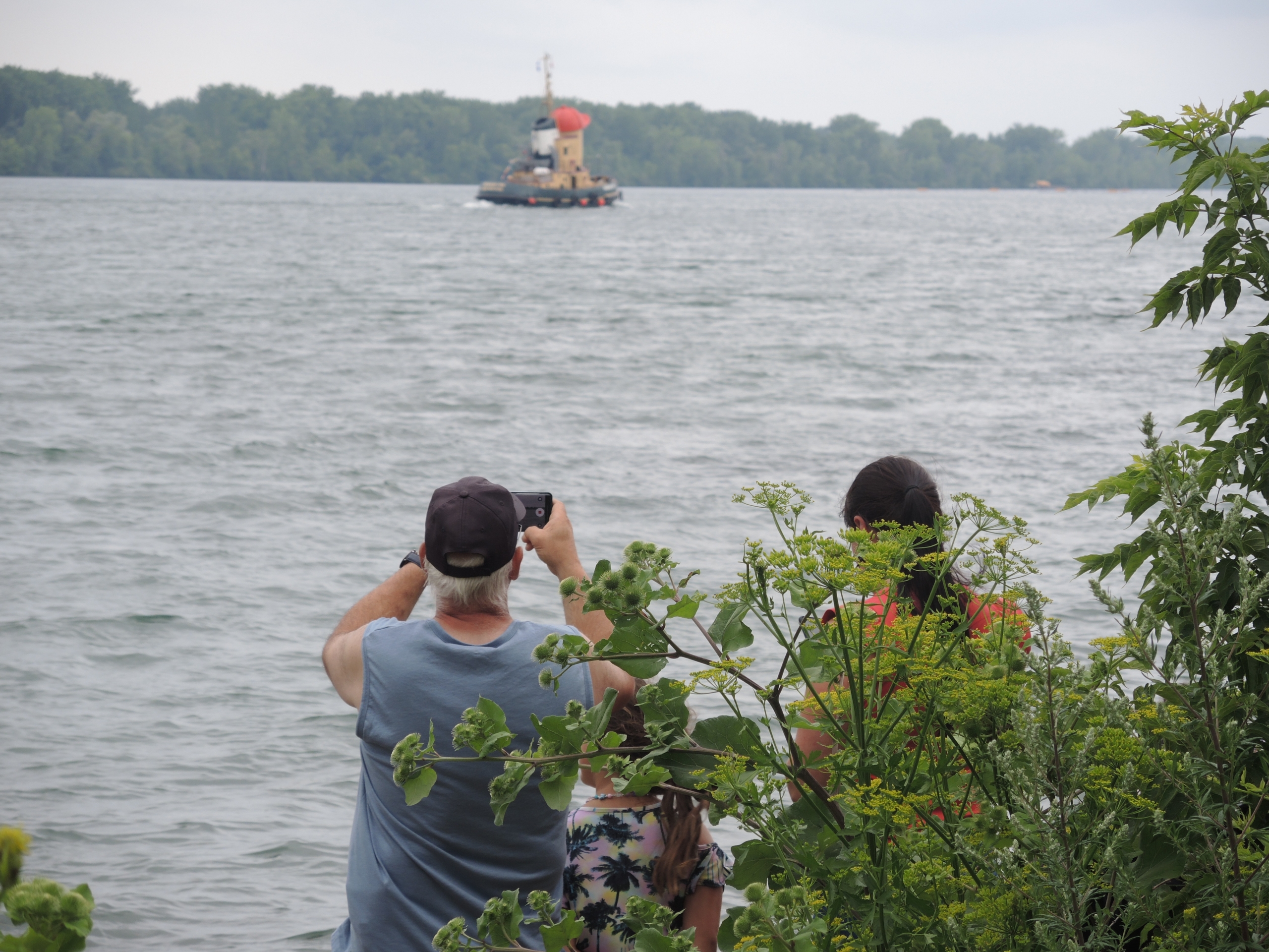 Tout le contraire de la rage au volant