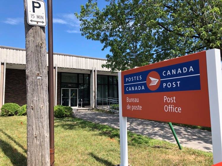 Tout un colosse qui vient déranger la paix