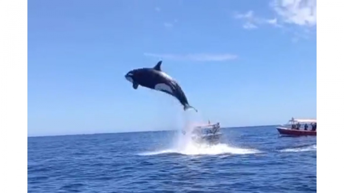 Une entreprise de Brossard reconnait avoir tromp&eacute; des consommateurs