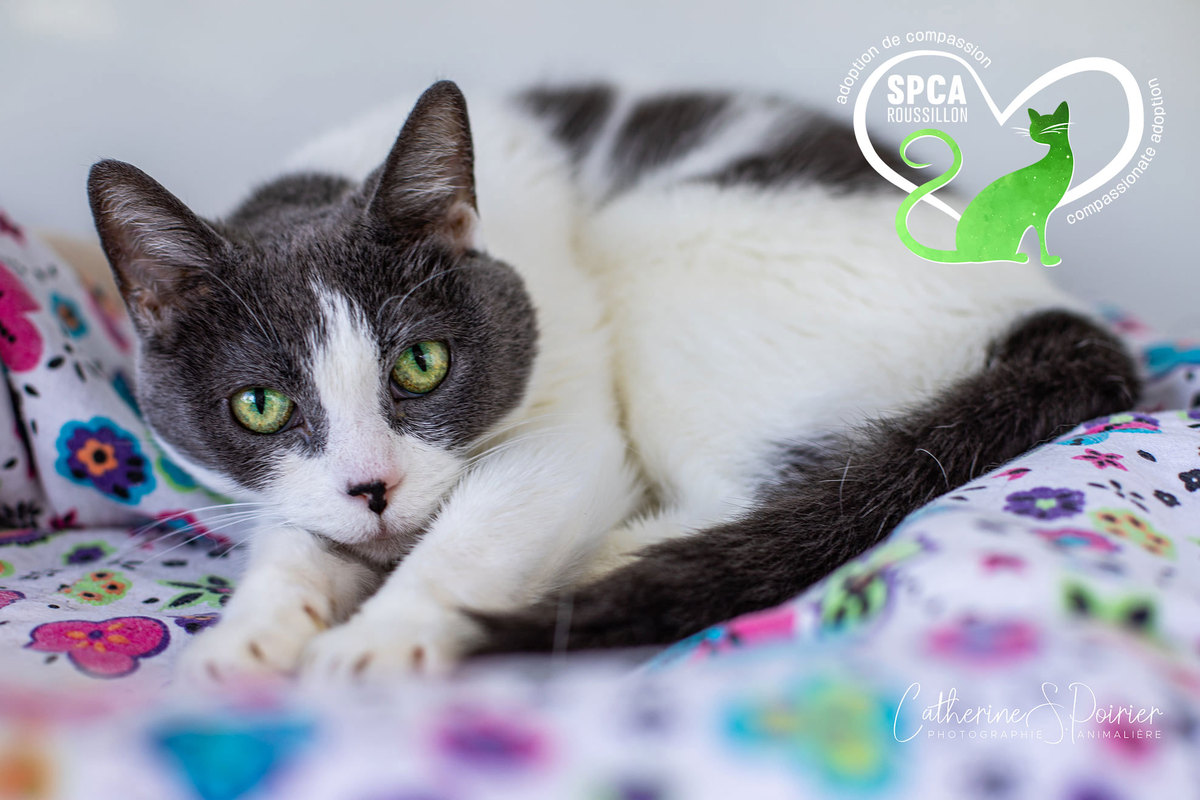 Une collation à partager pour célébrer le printemps