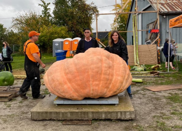 Image illustrant l'article