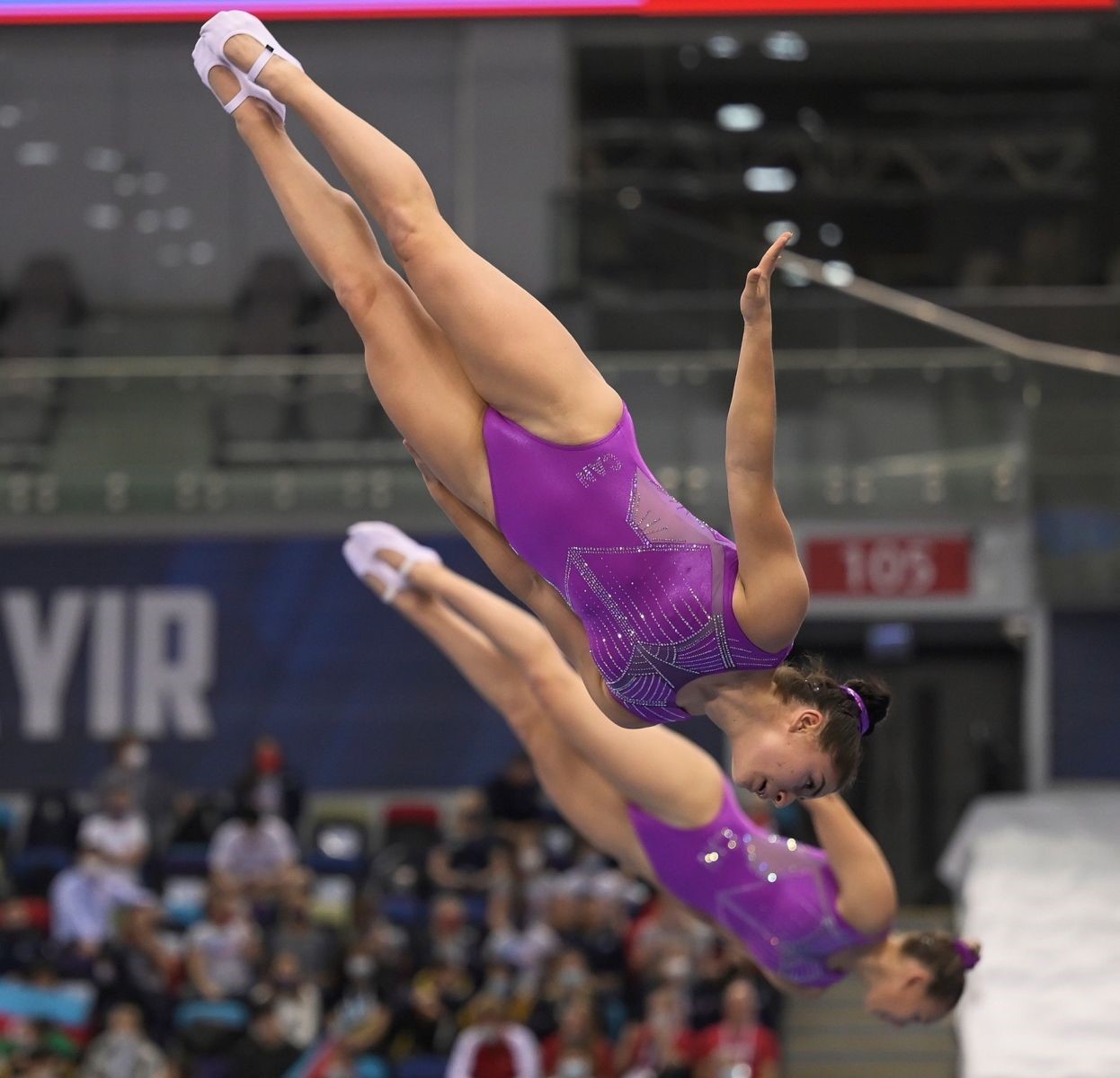 Image illustrant l'article