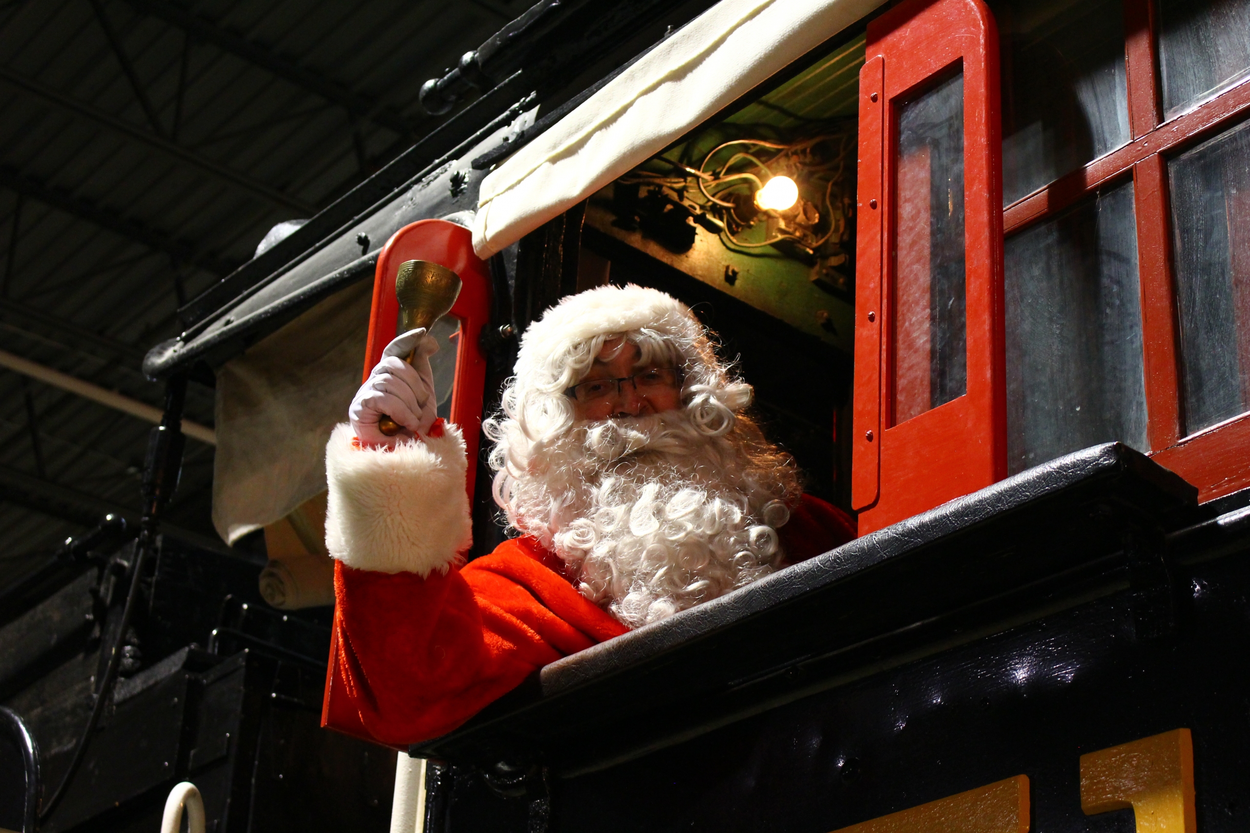 Une étrange obsession féline