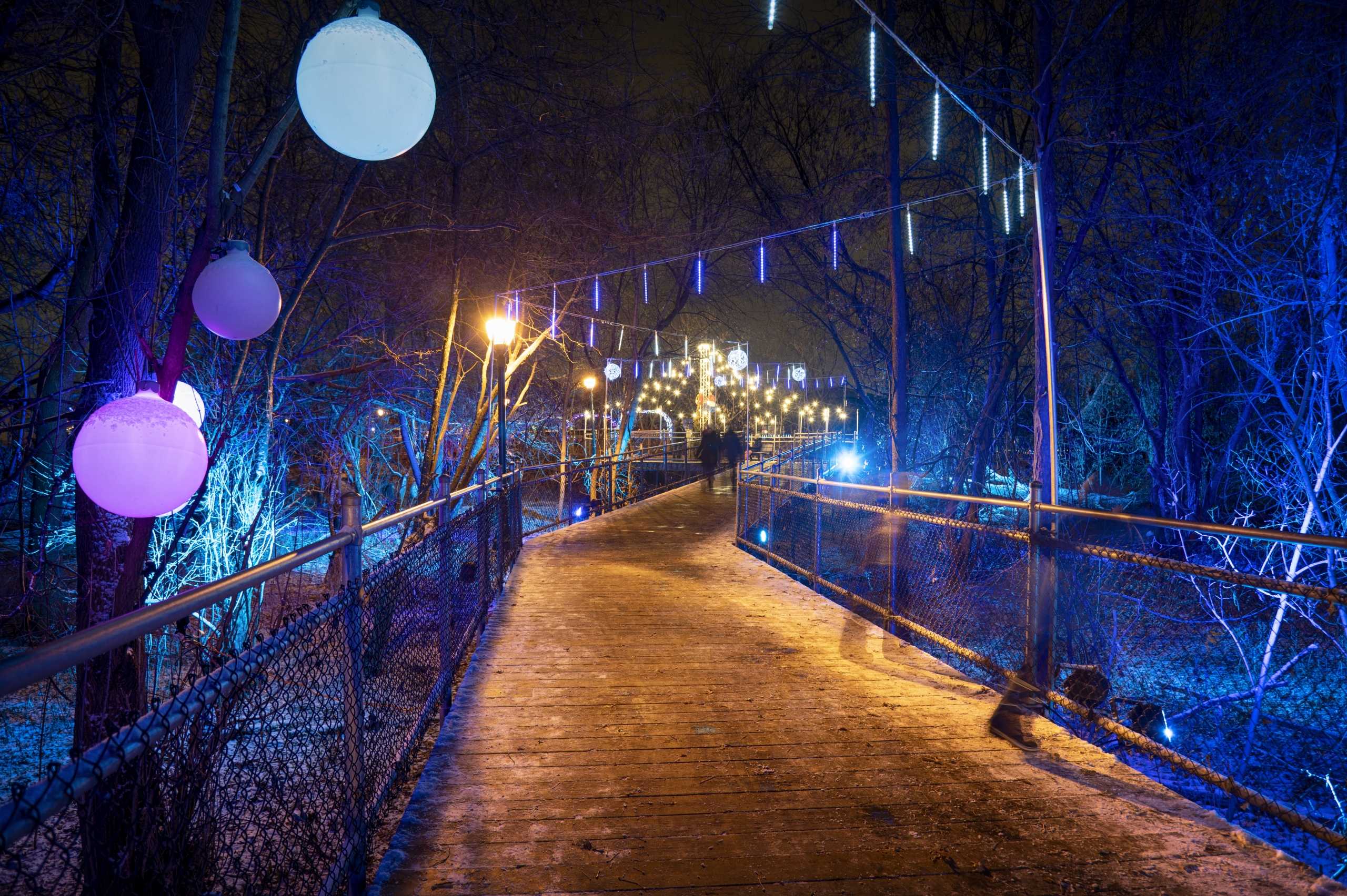 Image illustrant l'article