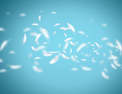 Image illustrant l'article