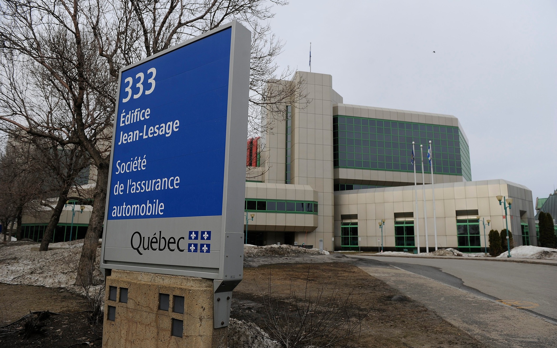 Imposante sculpture ou majestueux animal?