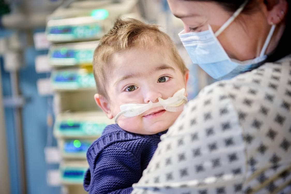 Mise à jour iOS 16.1: voici les nouveautés pour notre iPhone