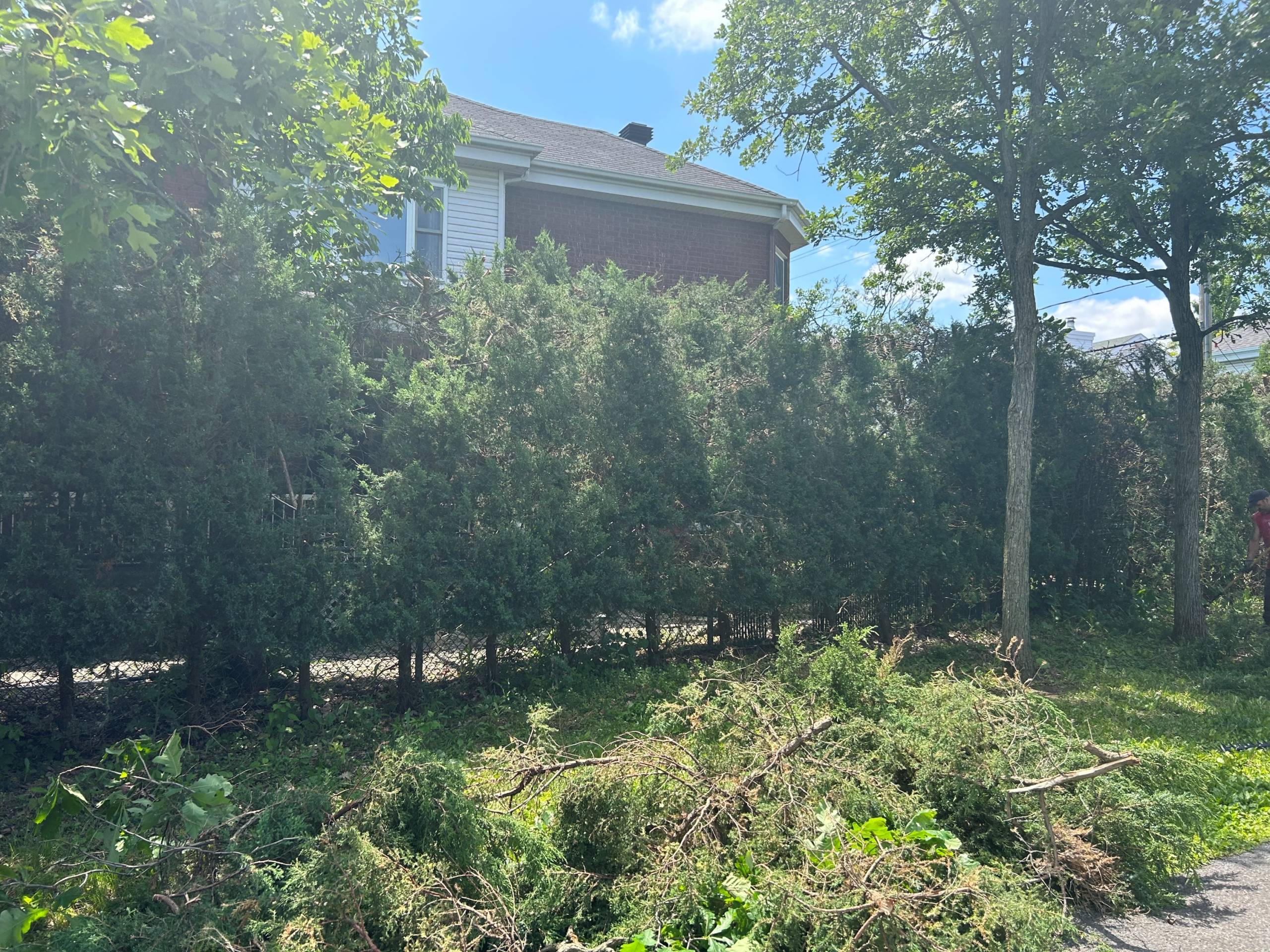 Rien besoin de plus que d’un petit os en plastique!