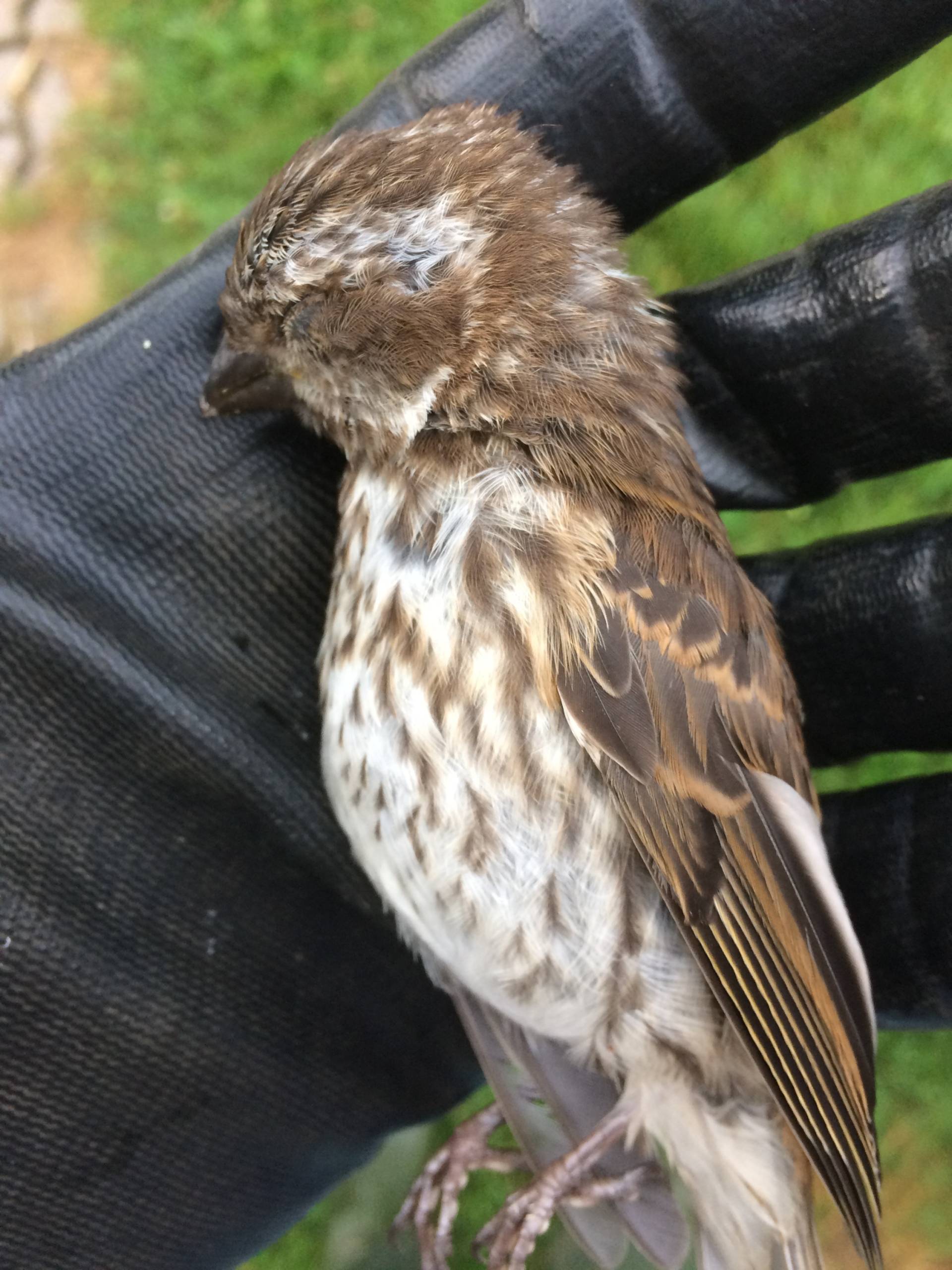 En couple? Ne laissez rien traîner!