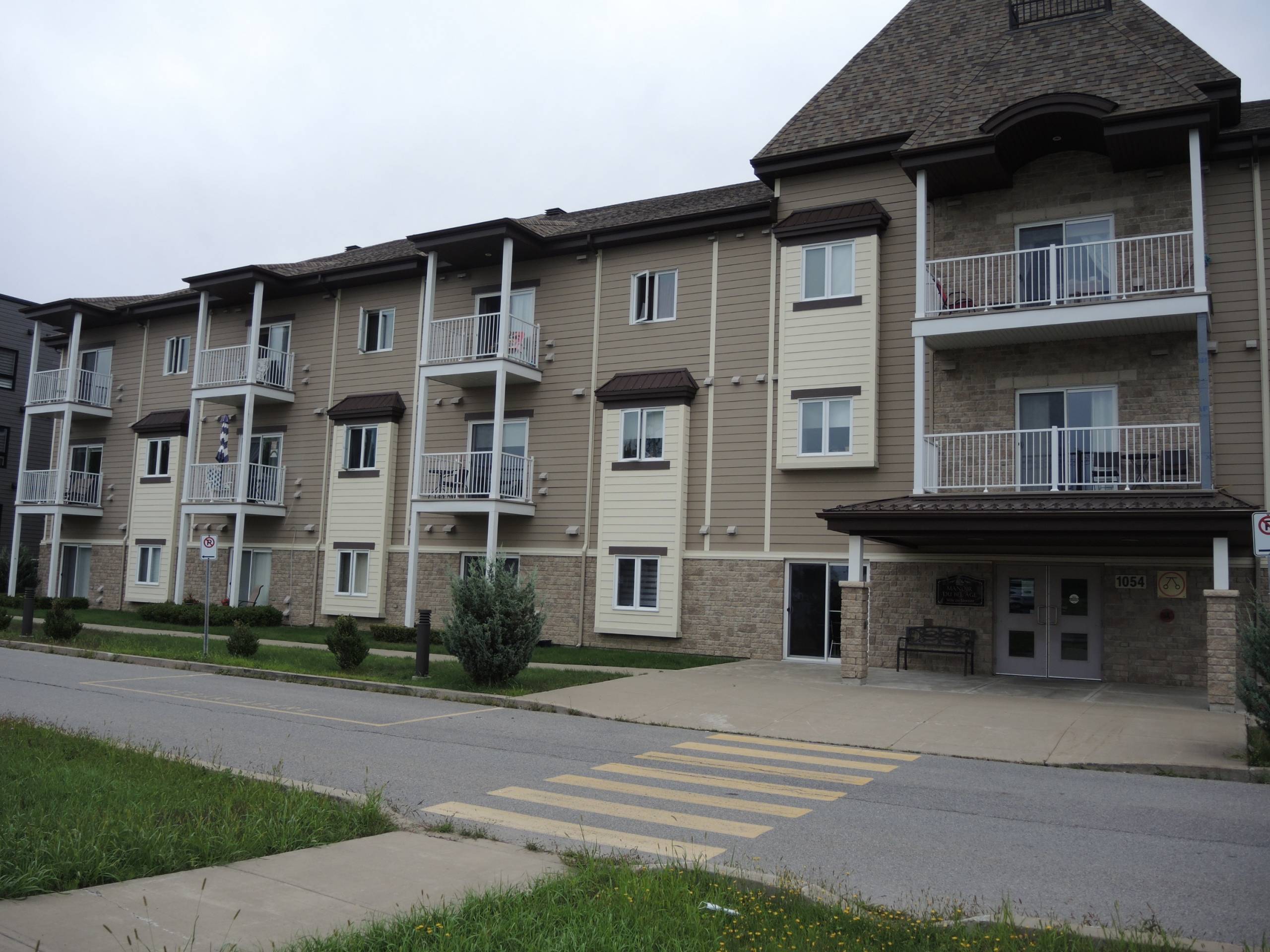 Ce chat prépare un mauvais plan