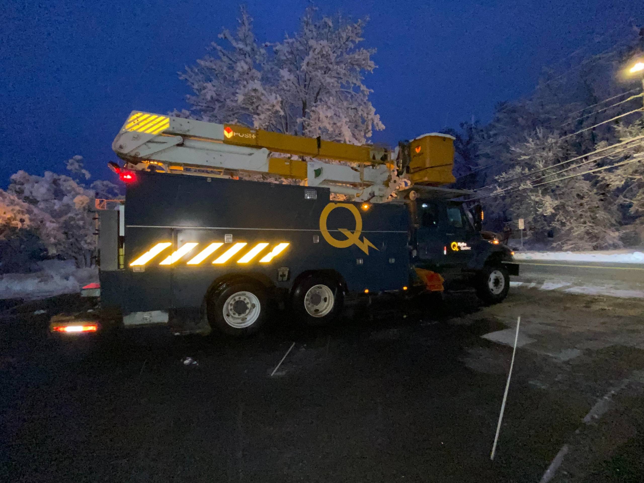 Golden Retriever veut du fromage sur sa nourriture
