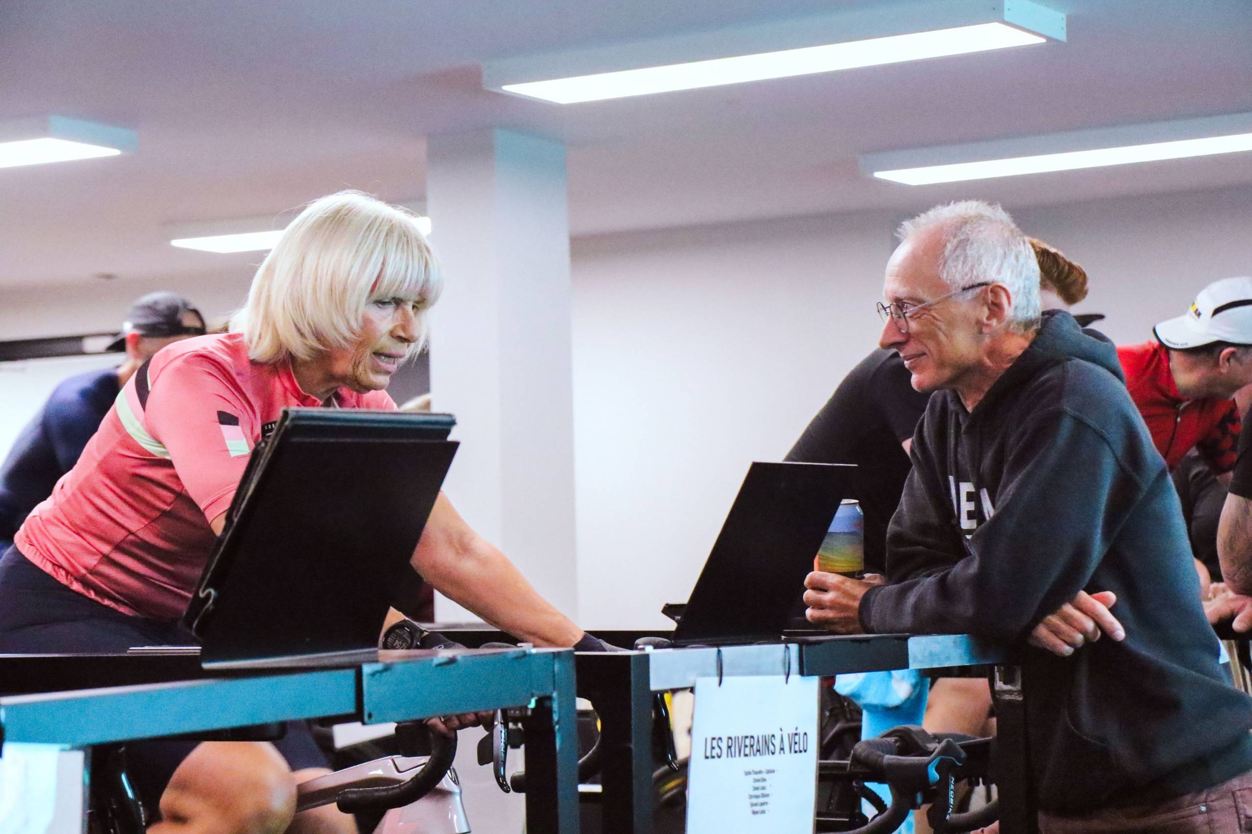 Des vaches qui nagent dans l&rsquo;océan