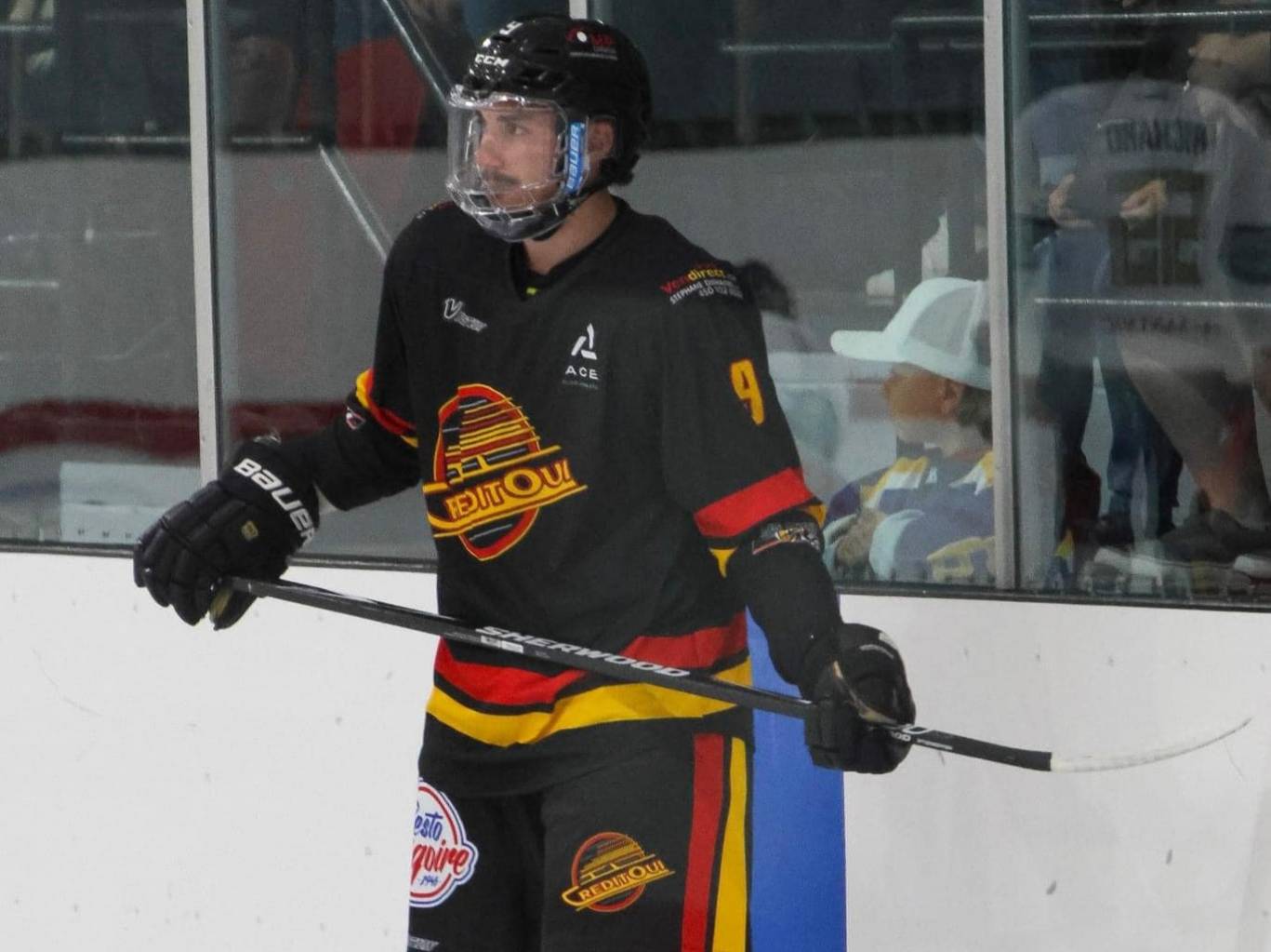 Avez-vous déjà vu deux vaches qui s’embrassent?