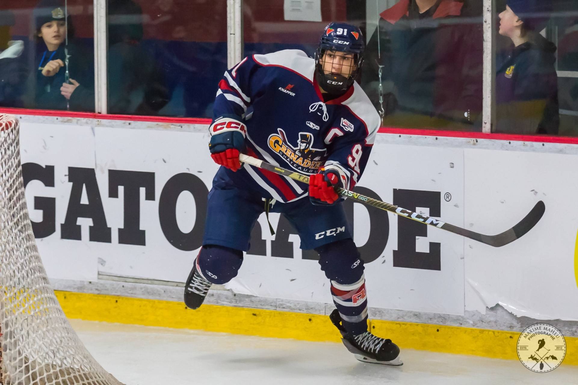 Ce chien et son maître sont l&rsquo;attraction de cette plage