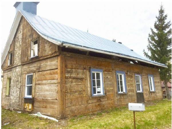 Adorable chien ronronnant