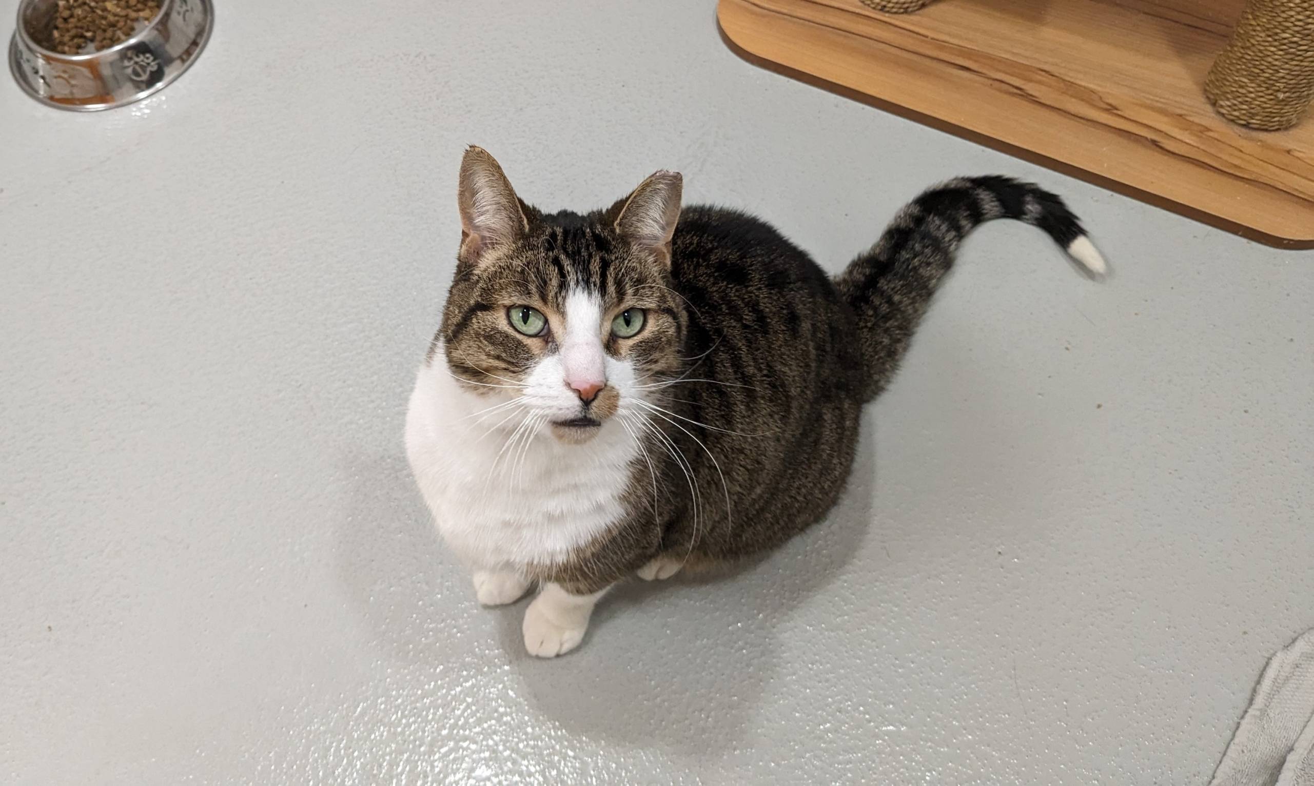 Meilleures applications et sites de rencontres gratuits pour célibataires