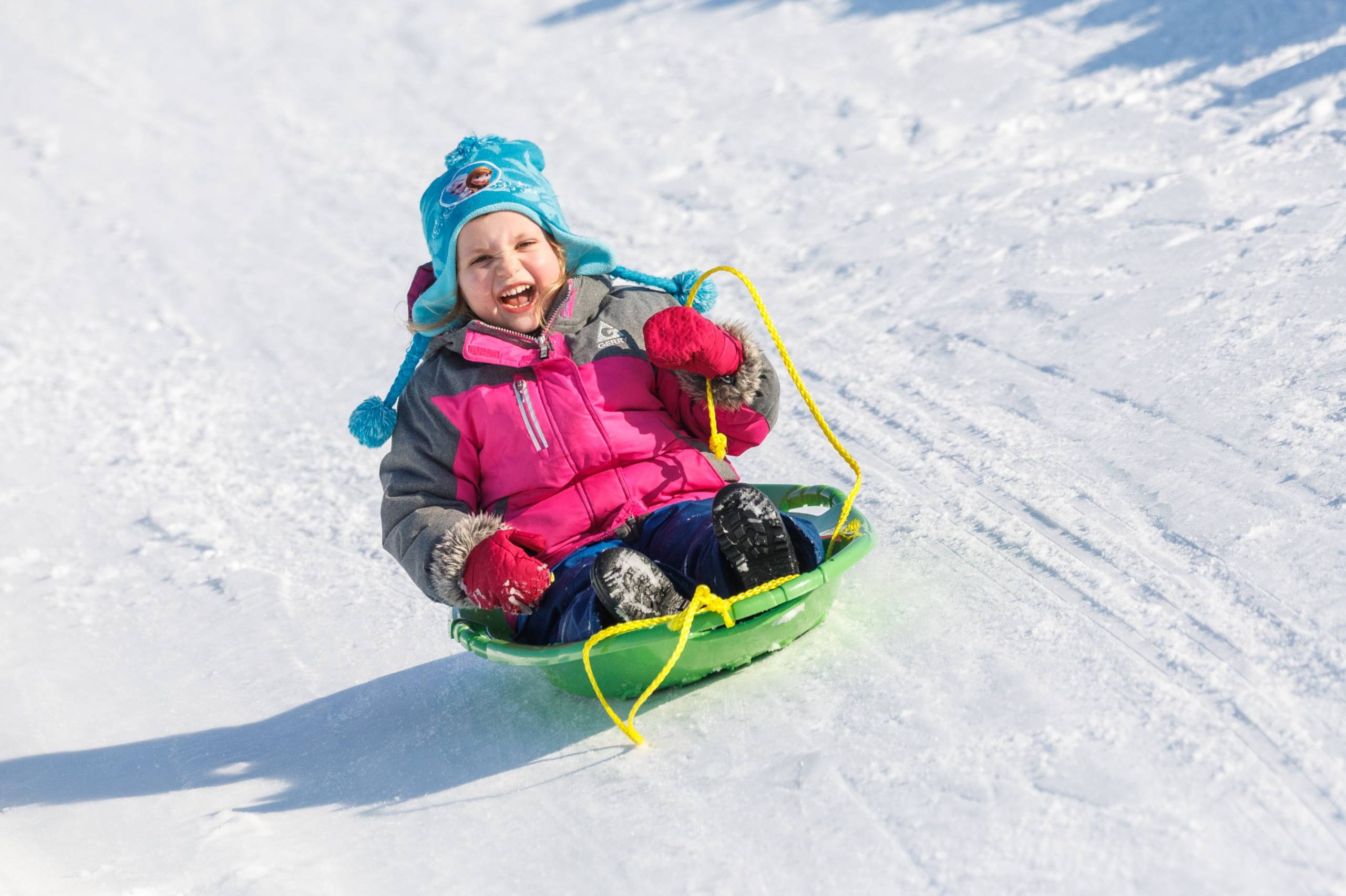 Des litières automatiques qui se nettoient toutes seules
