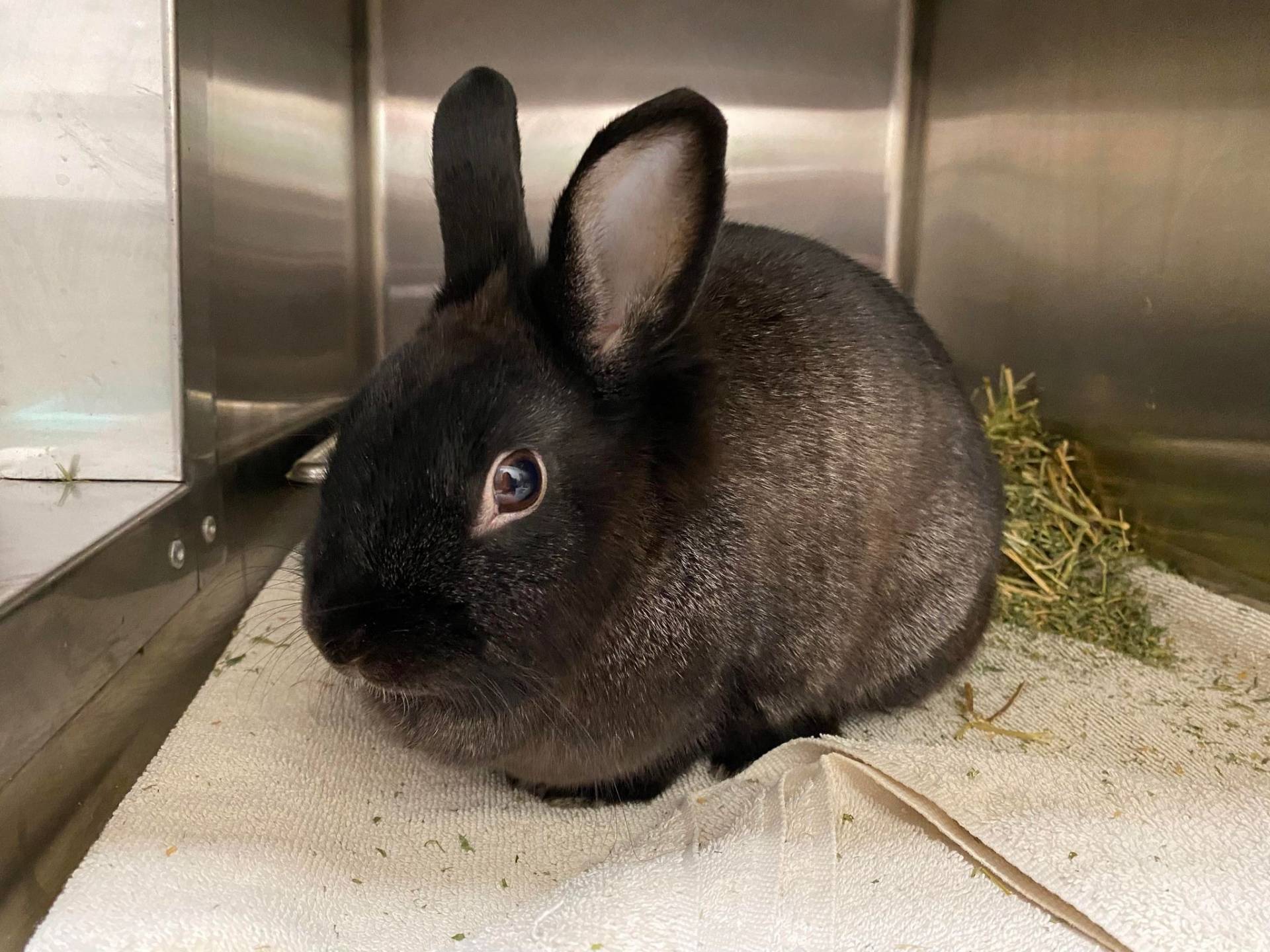 Image illustrant l'article