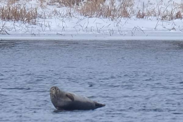 Image illustrant l'article