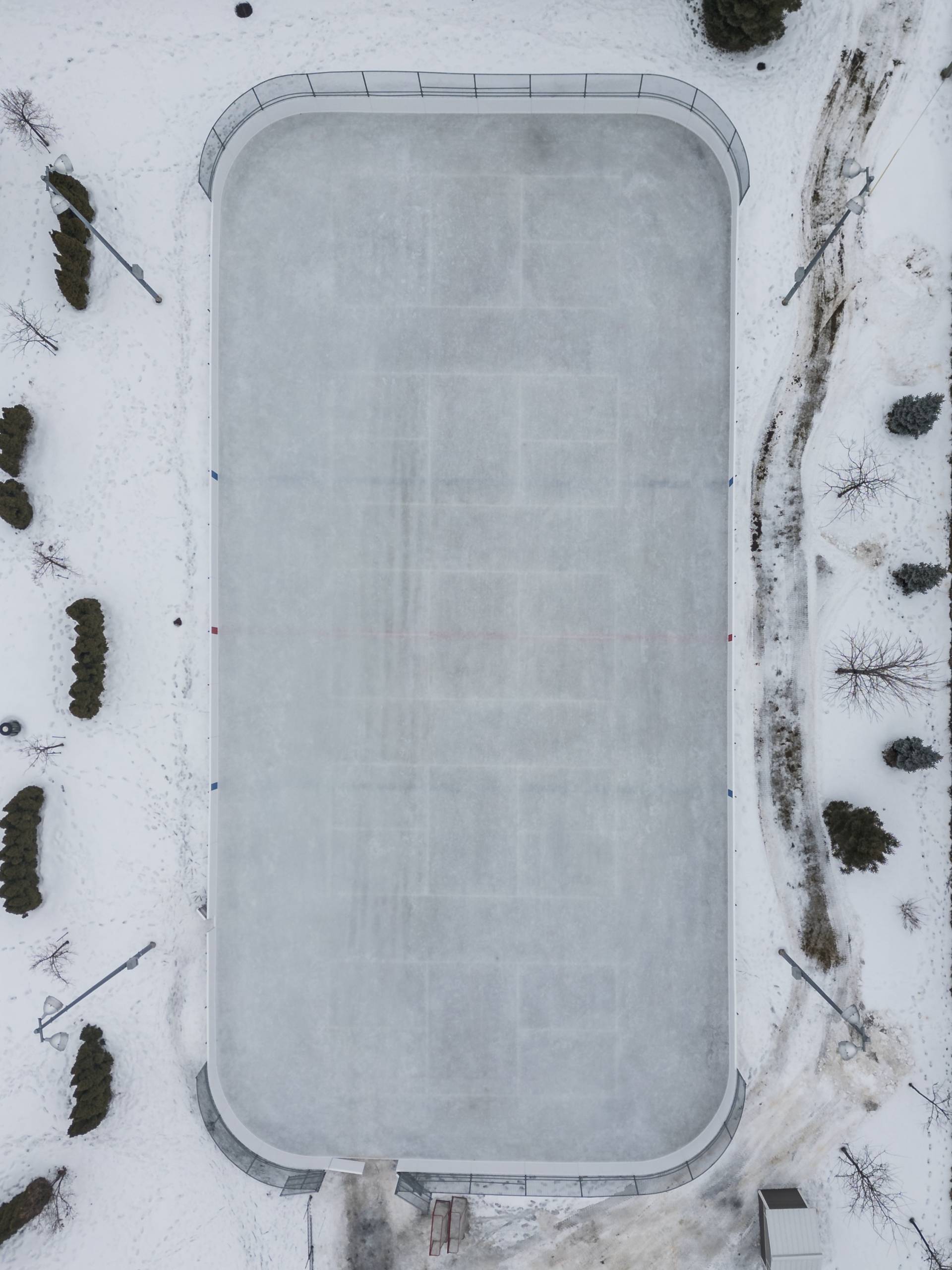 Une maman opossum se glisse sous un immeuble avec ses bébés