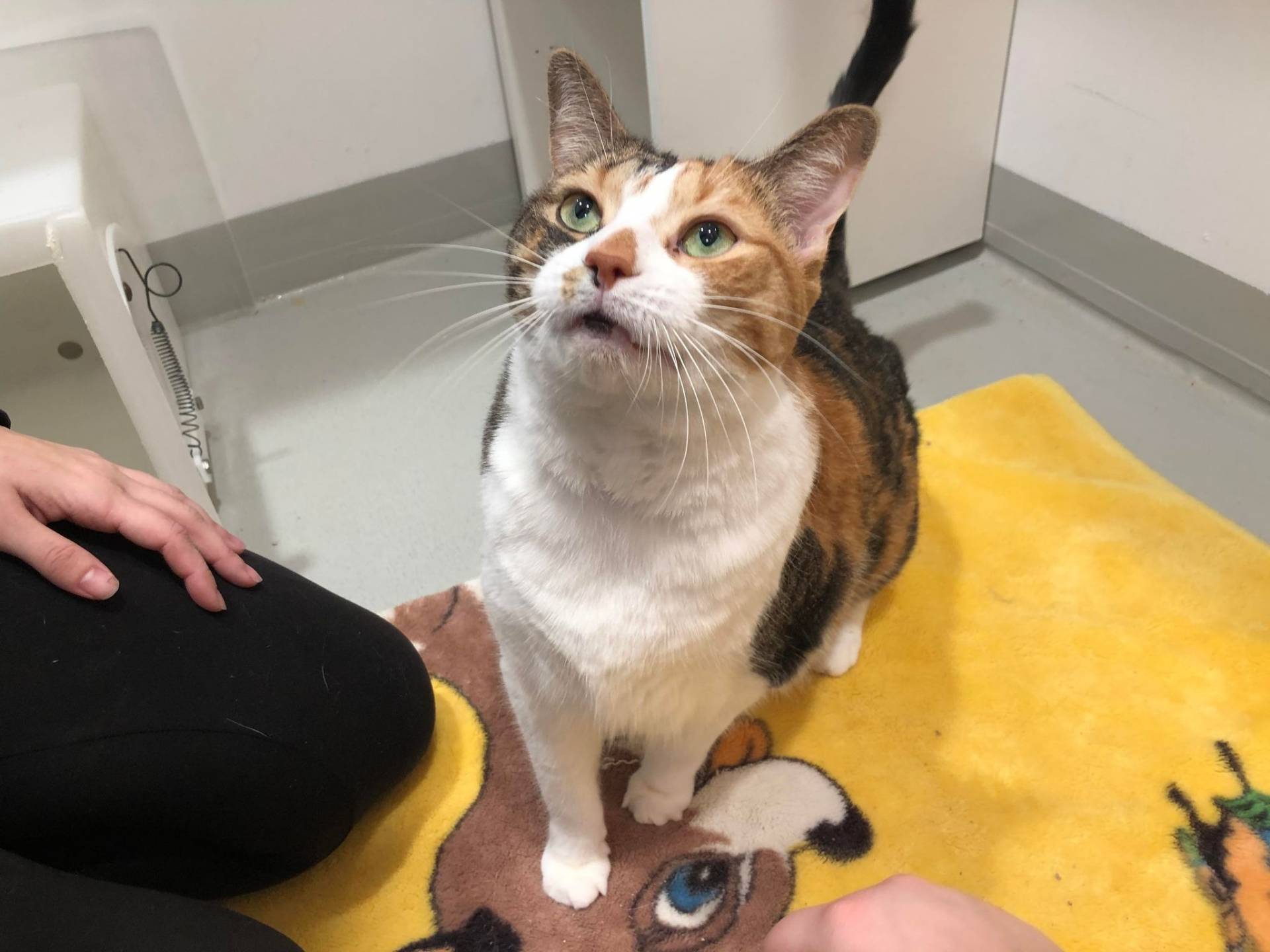 Image illustrant l'article