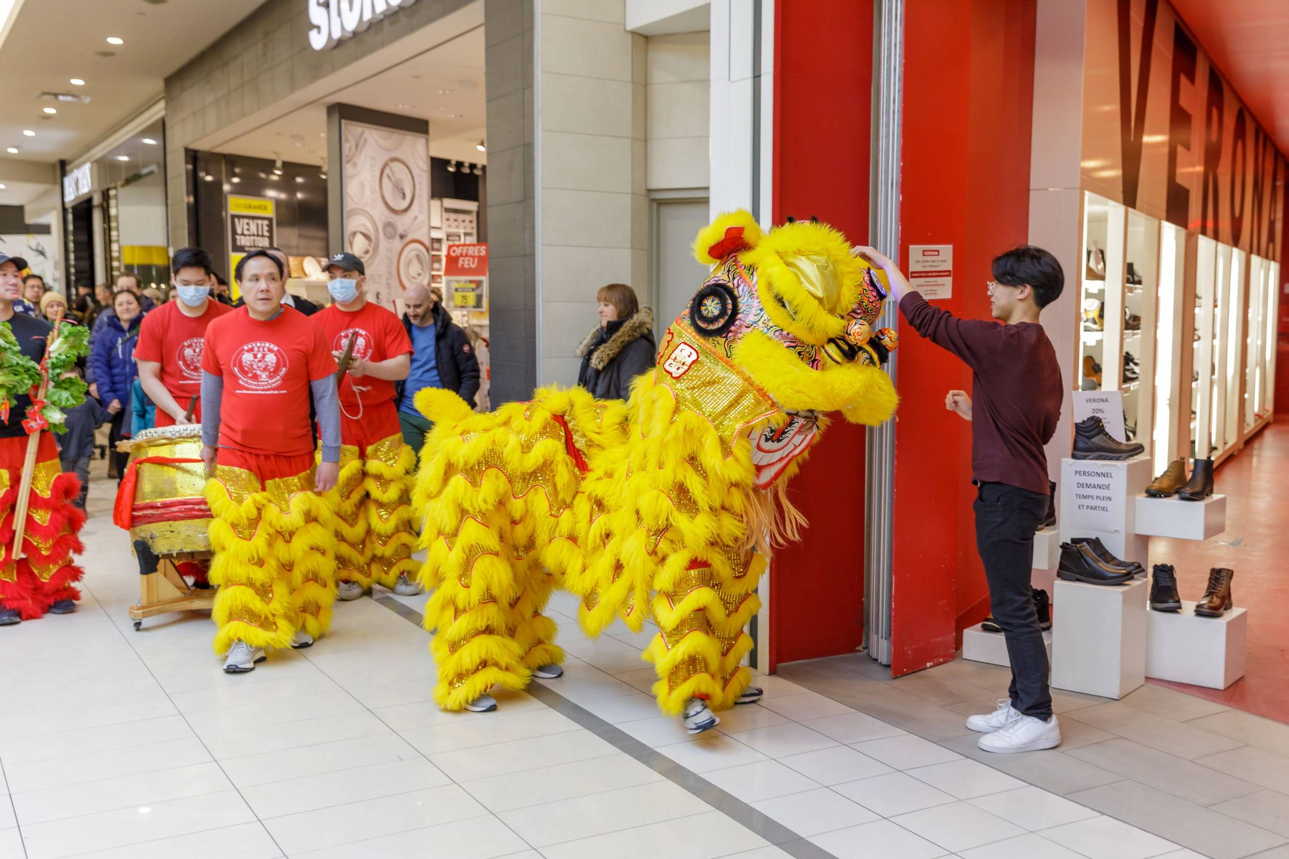 La relation compliquée entre piétons et automobilistes
