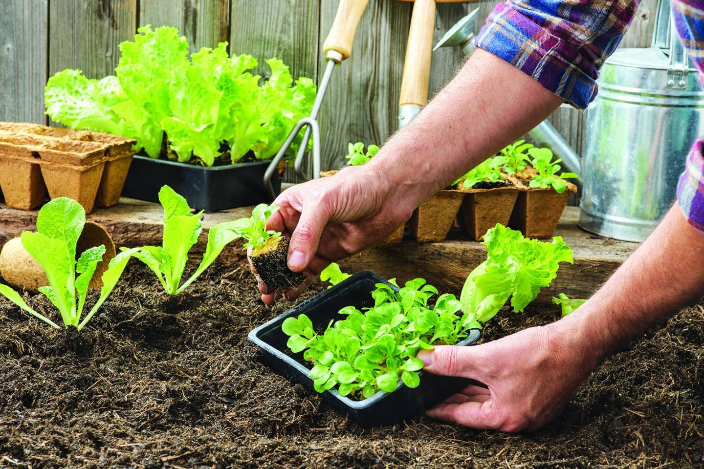 Image illustrant l'article