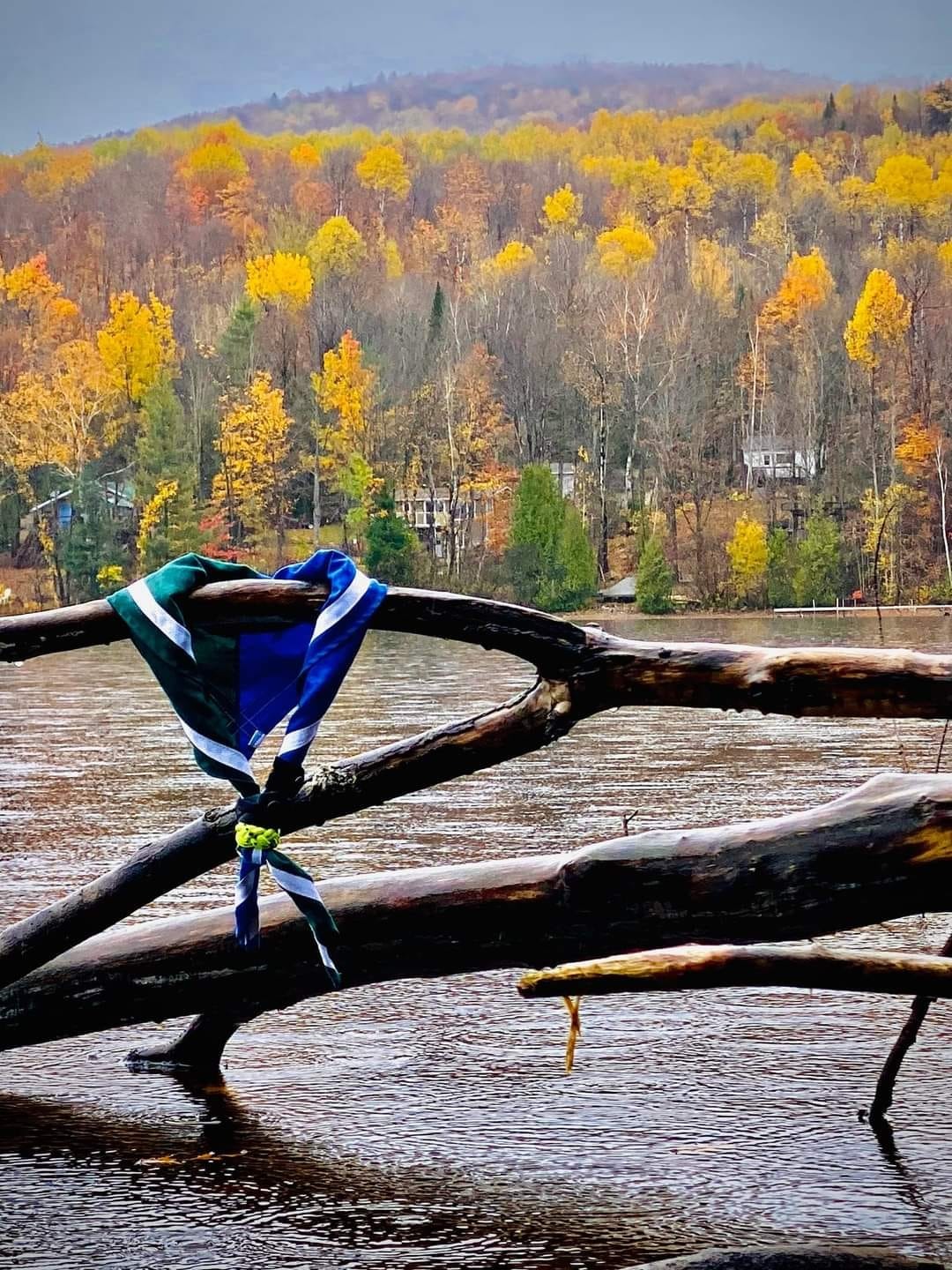 Pickle, le barista, adore remuer mon café tous les matins