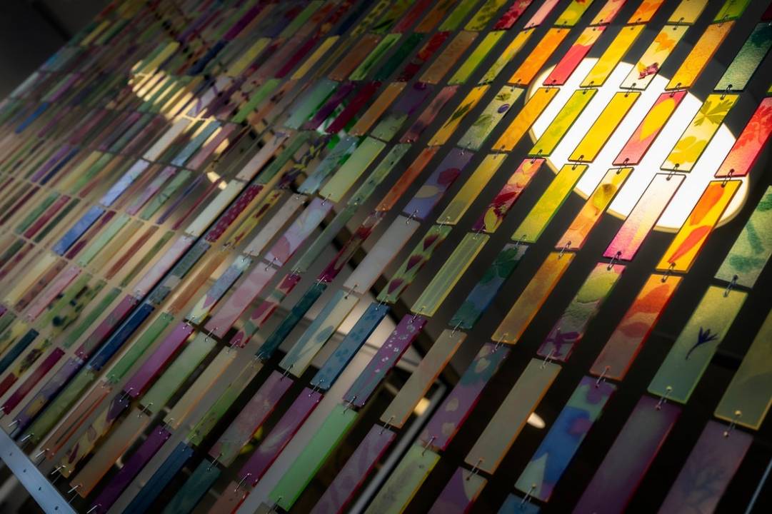 Les aurores boréales filmées depuis son allée