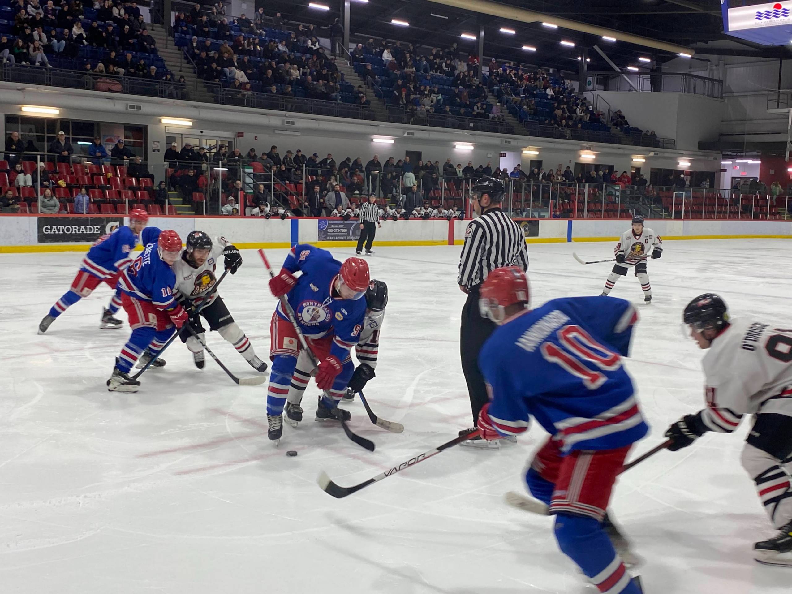 Pole Dance avec son chat