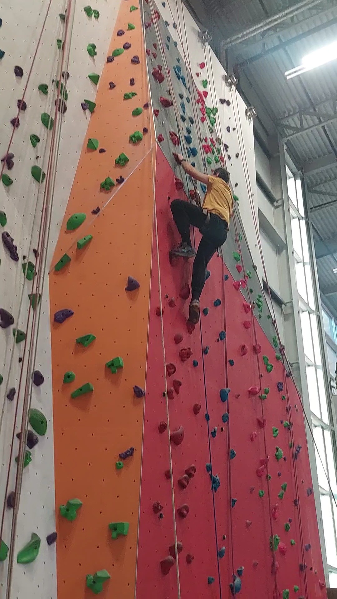 Le Québécois bilingue – Édition Dispute