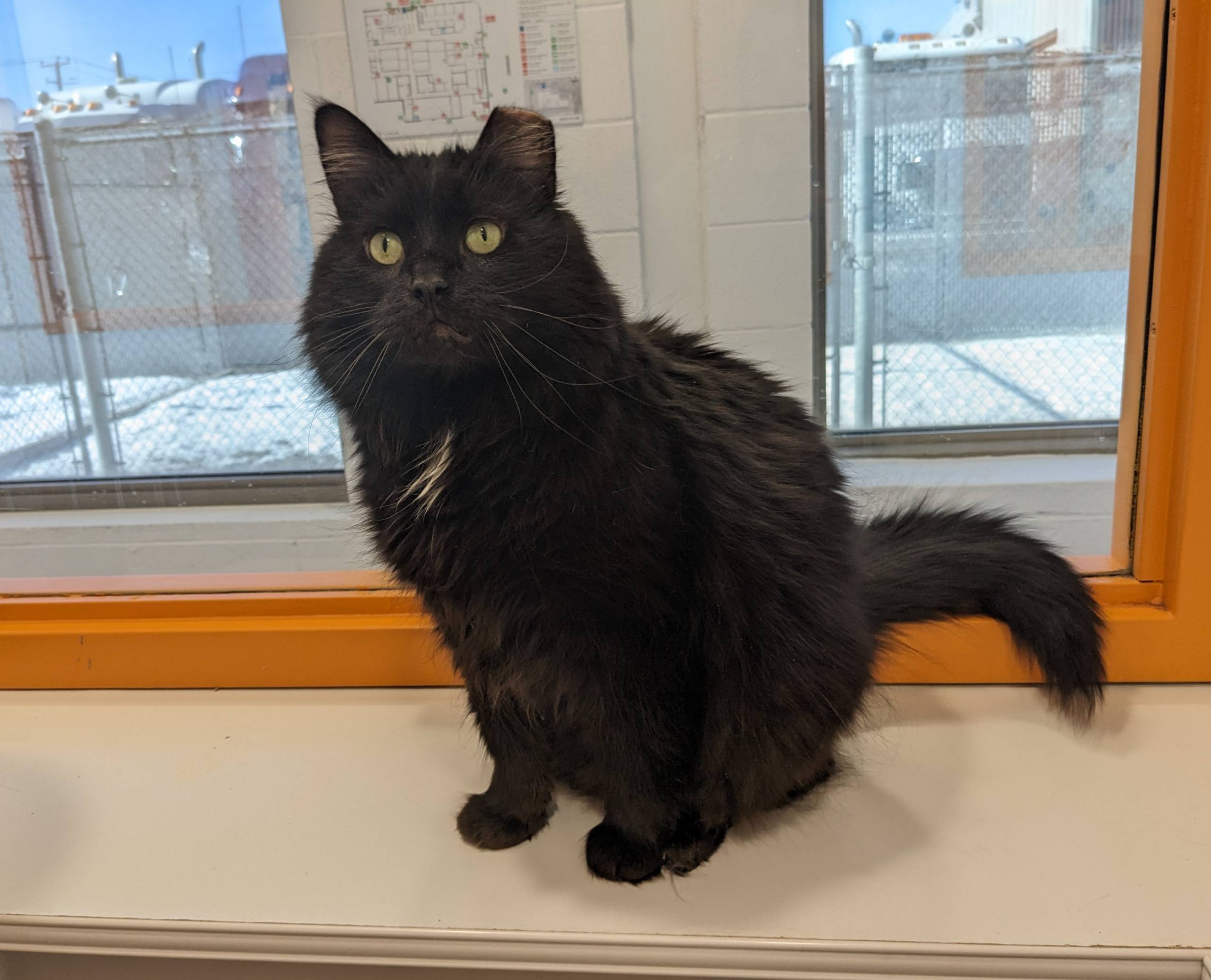 Bloopers de cuistot maison