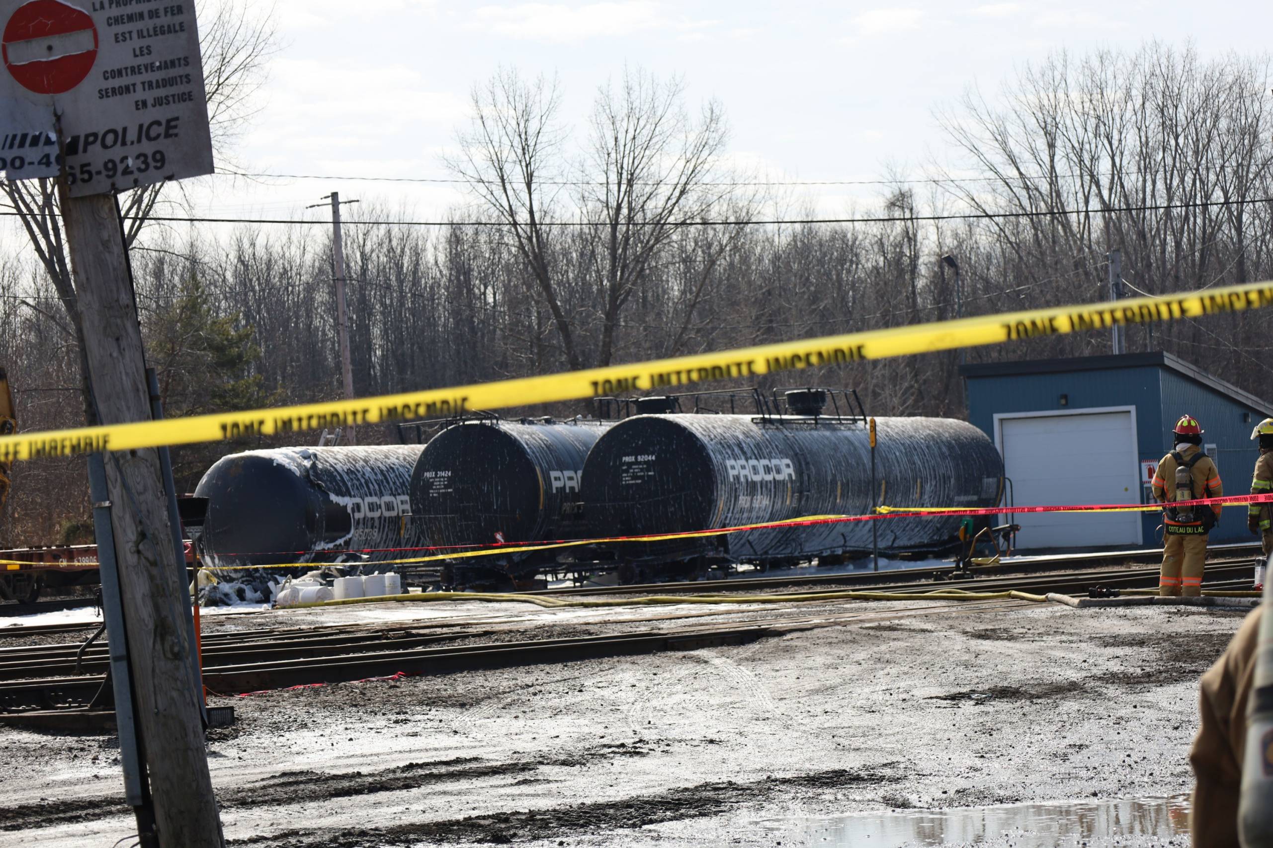 Un singe de compagnie monte à l&rsquo;arrière d&rsquo;une moto