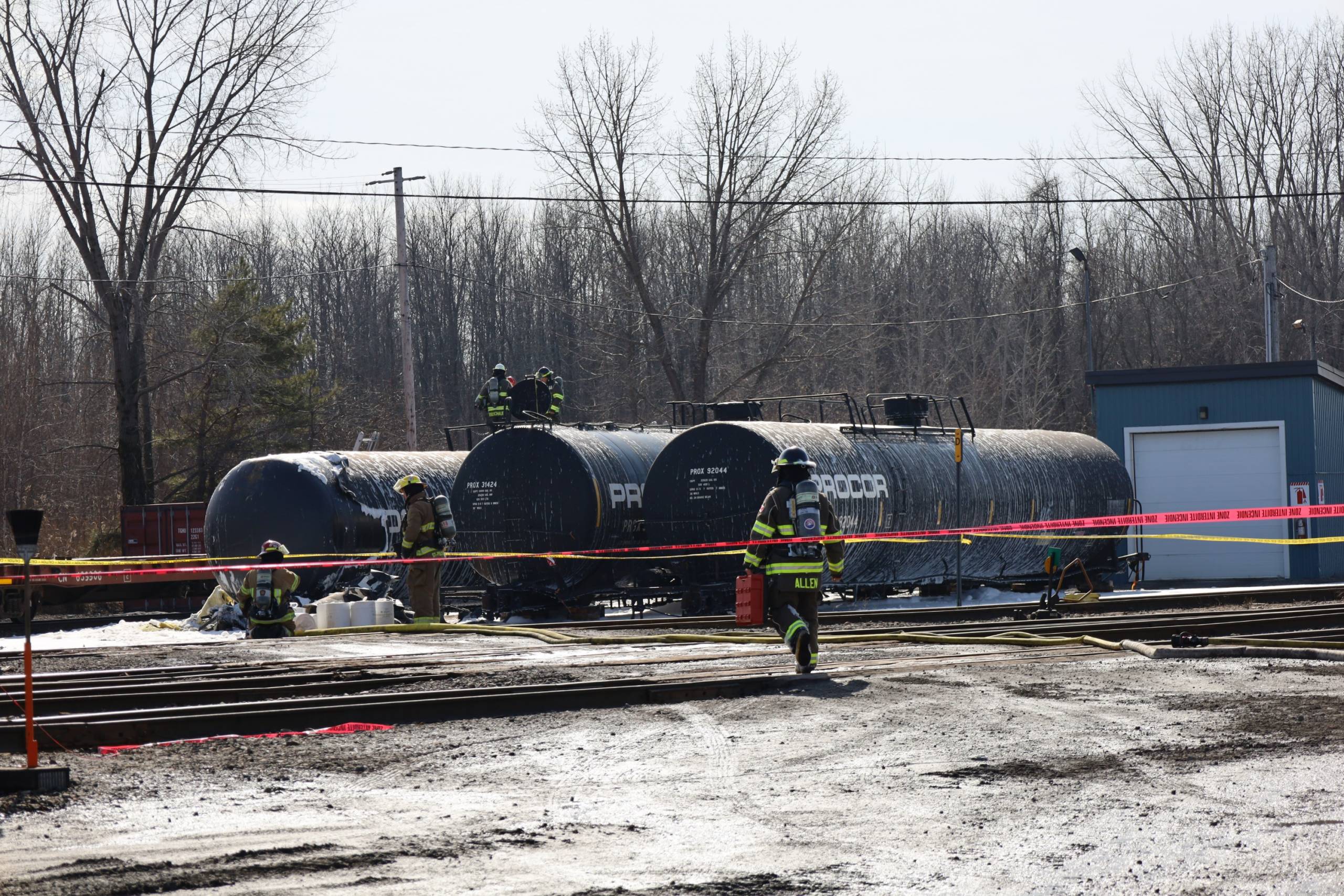 Comment brosser un cheval qui mue