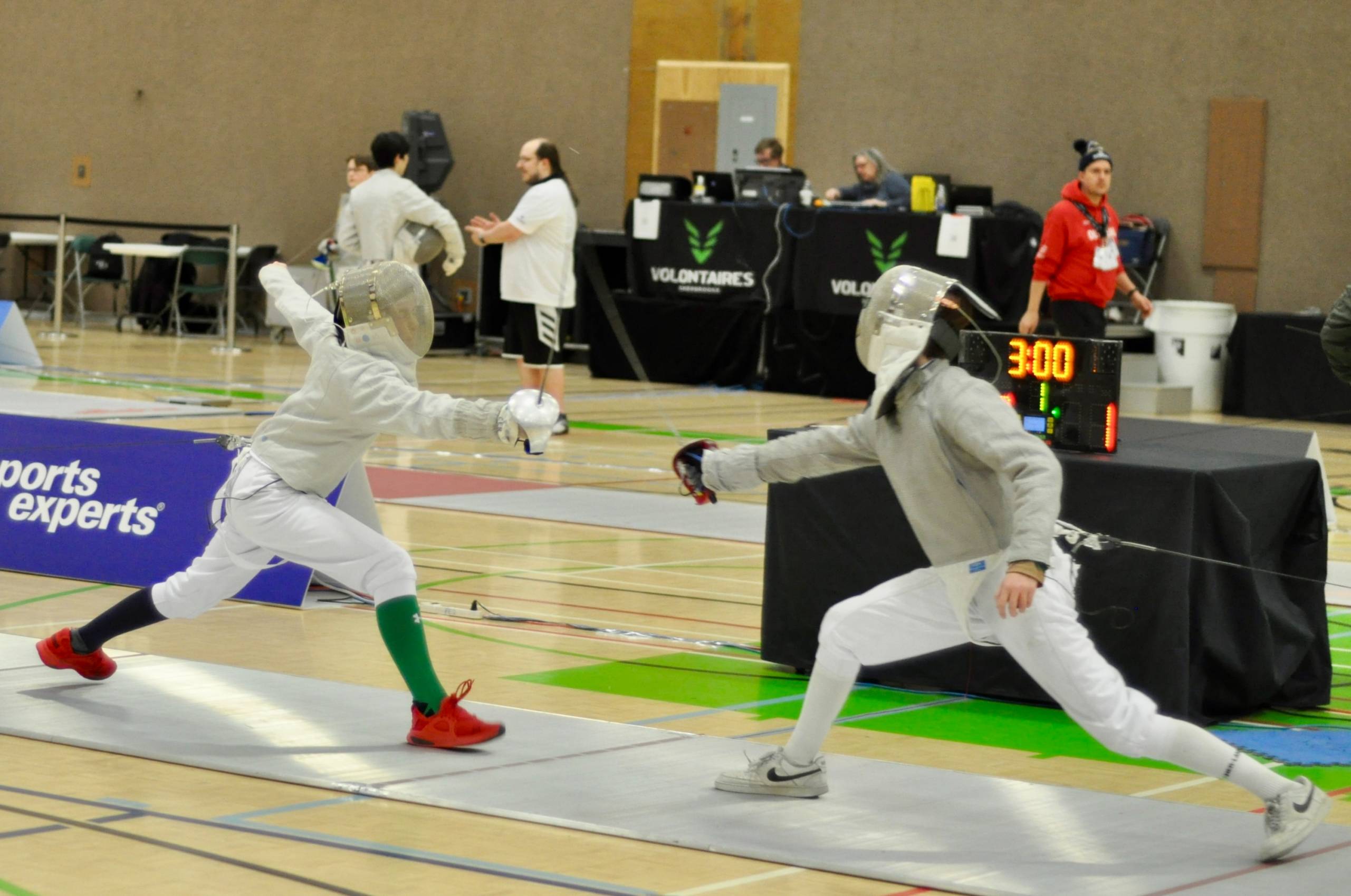 Bébé opossum faisant du stop