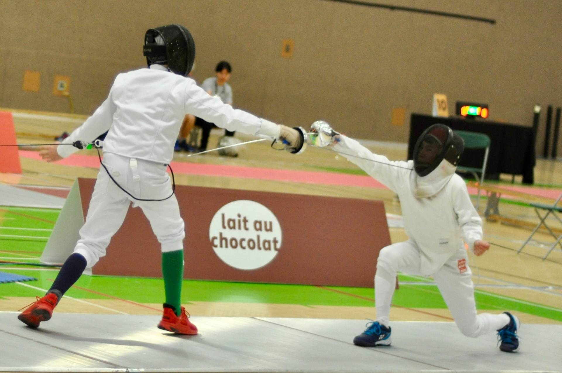 Le chat est enthousiasmée par les nouveaux escaliers de son appartement
