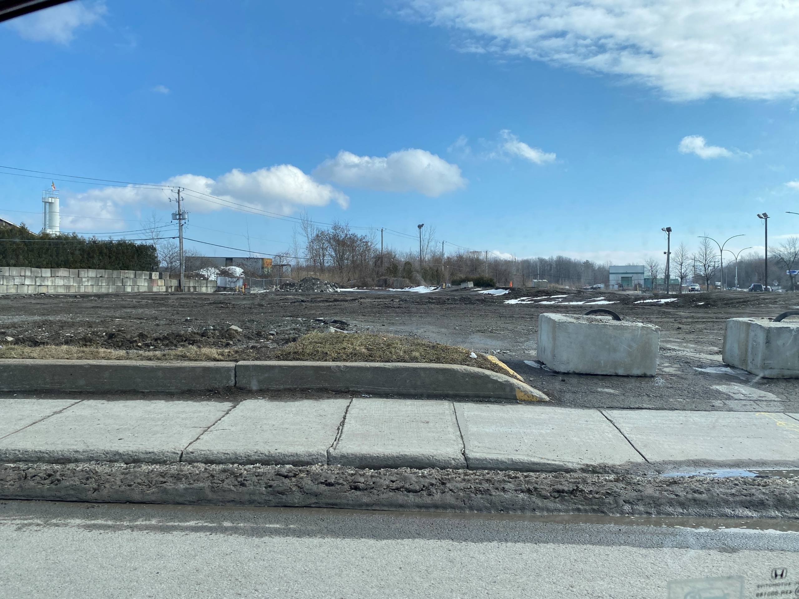 Pourquoi les chats n’aiment pas le papier d’aluminium